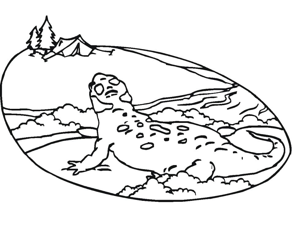 Chinese Giant Salamander Coloring Page Free Printable Coloring Pages