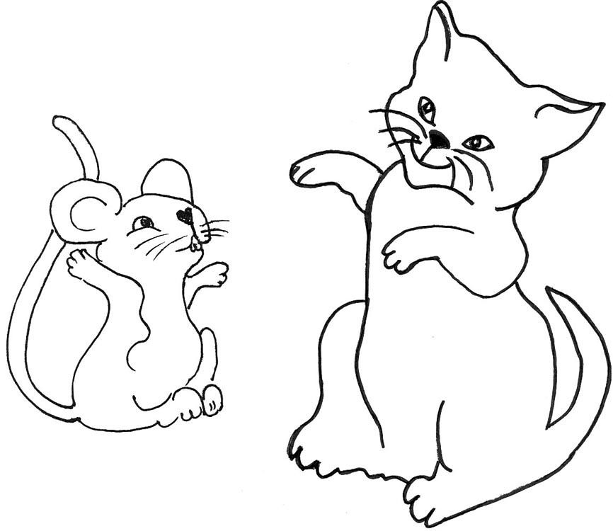 Cat And Mouse