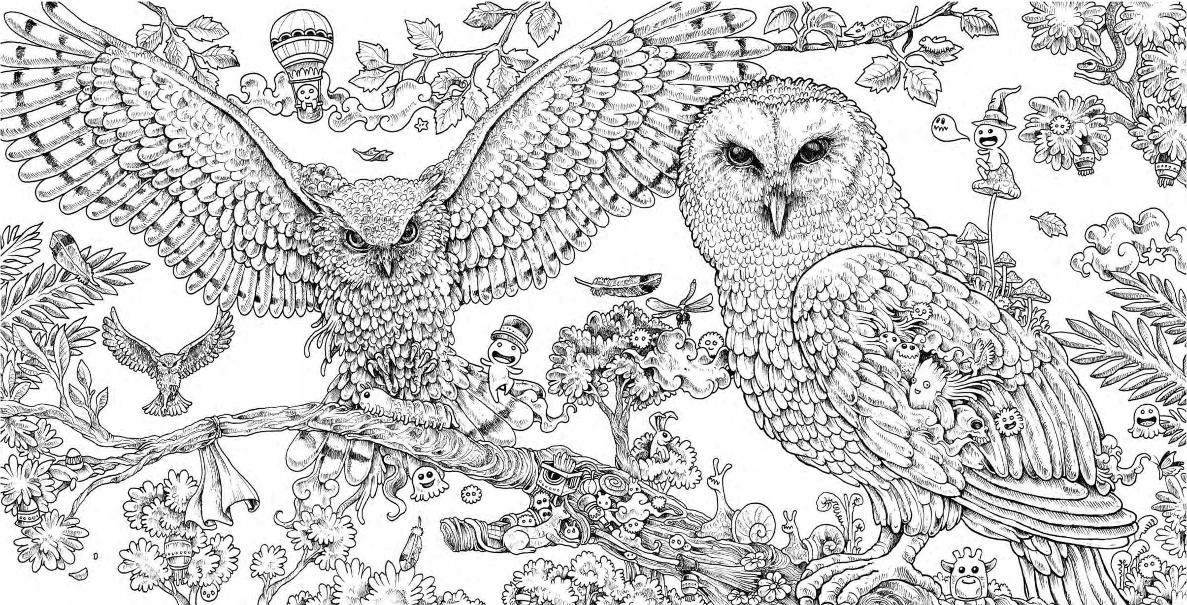 Animorphia Owls Hard Adult Animal Coloring Pages   Coloring Cool