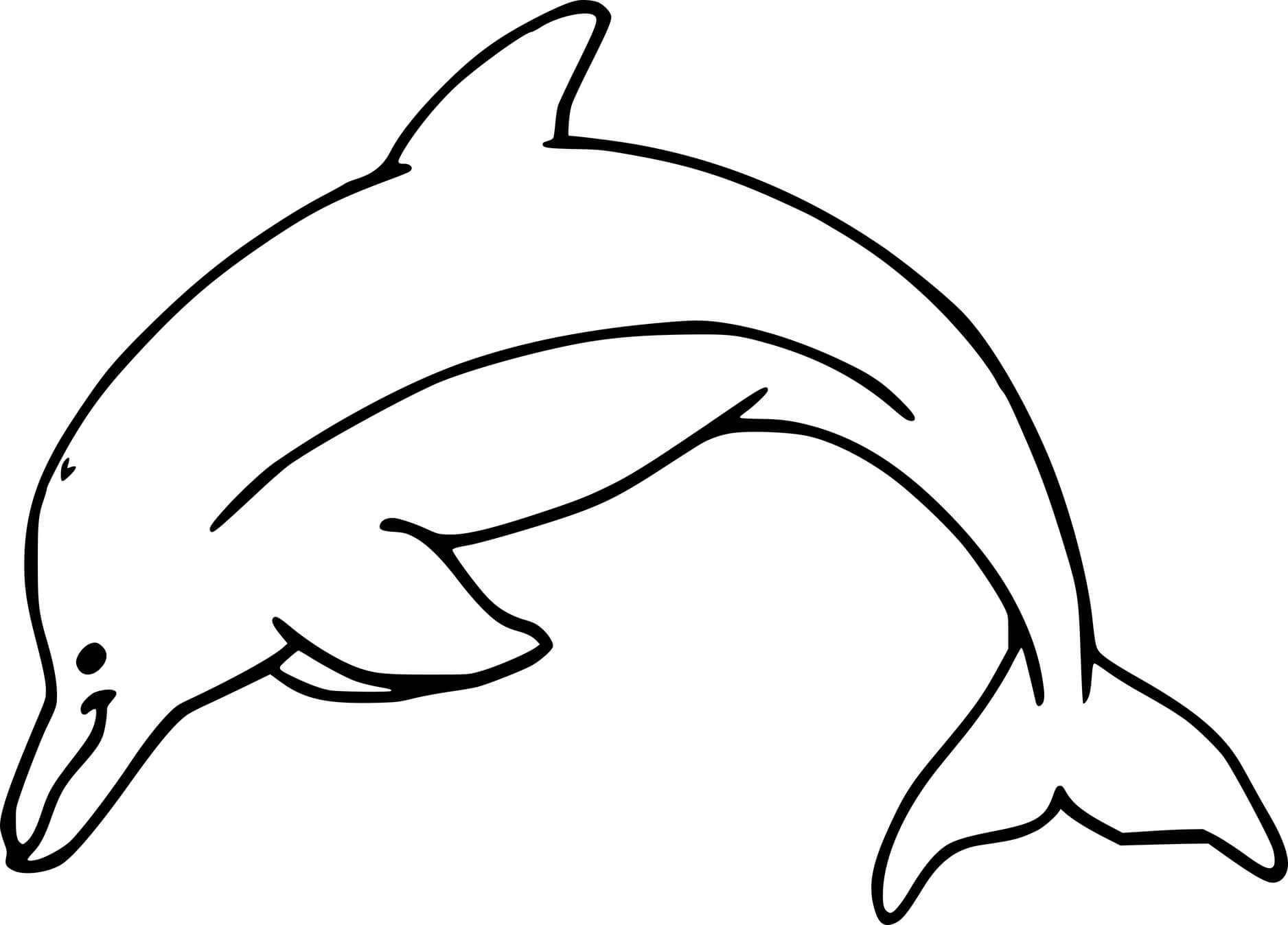 Atlantic Humpbacked Dolphin