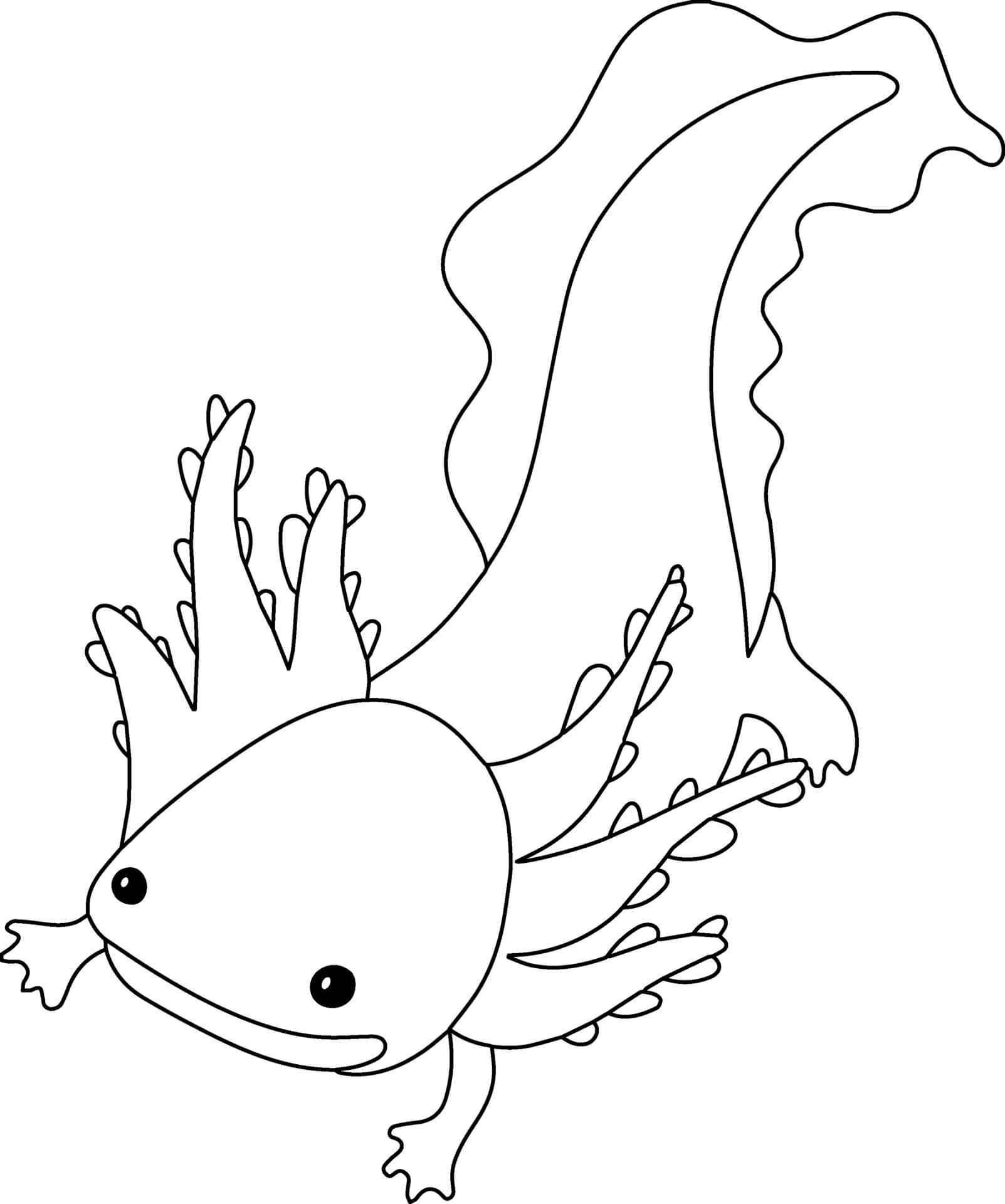 Axolotl Coloring Pages   Coloring Cool