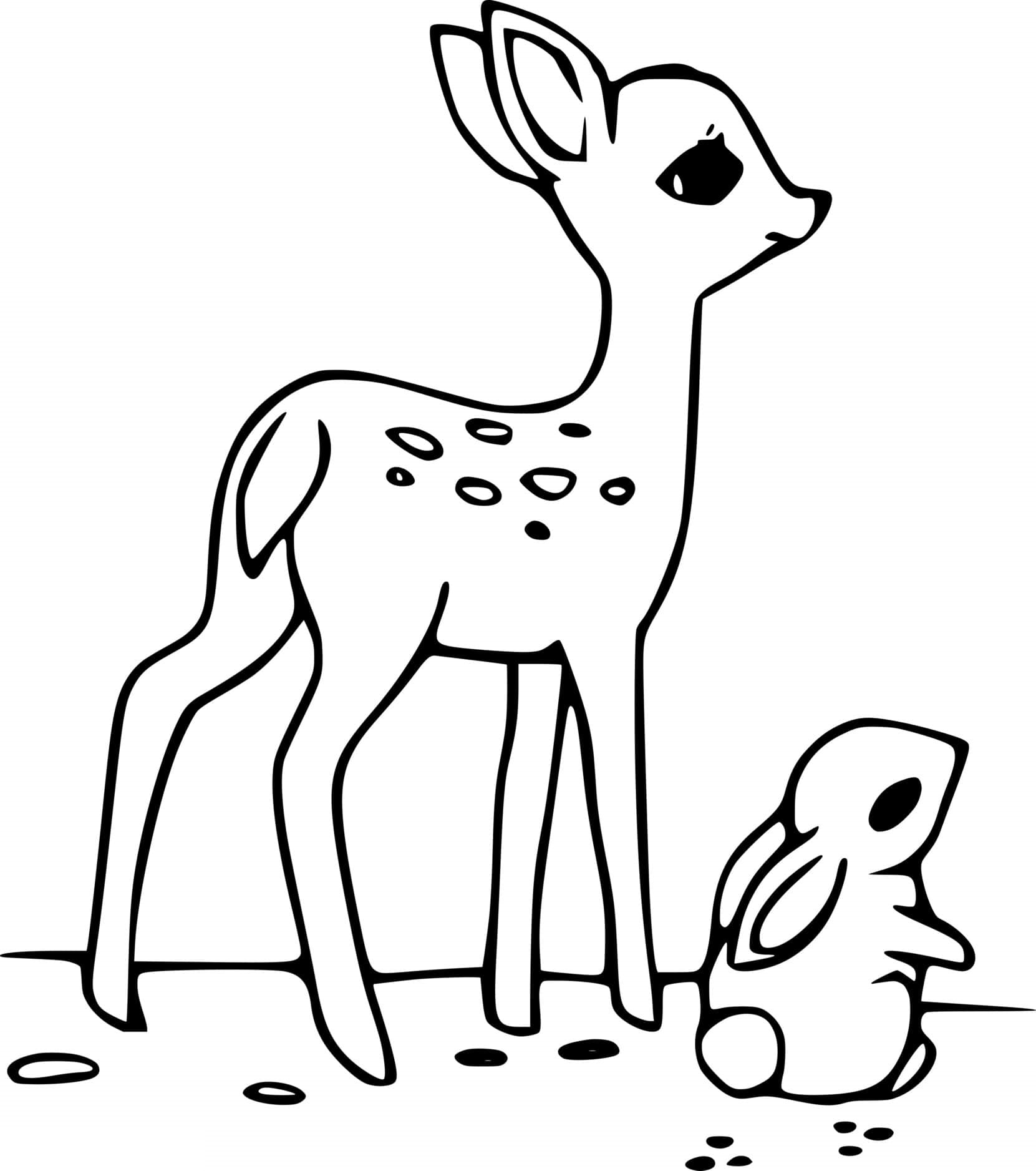 Baby Deer And A Bunny Coloring Page