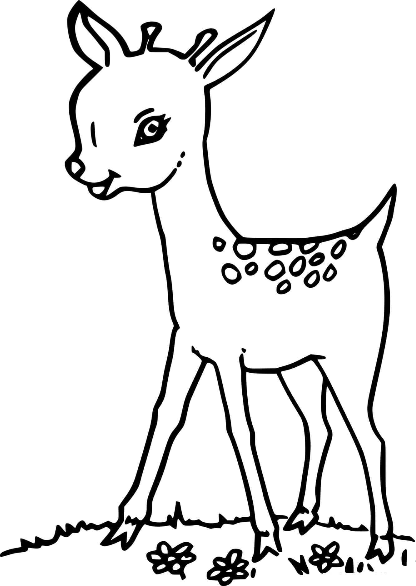 Baby Deer On The Grass Coloring Page