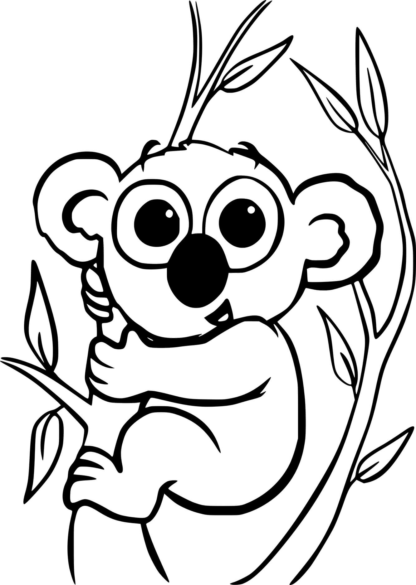 Baby Koala Holds The Branch