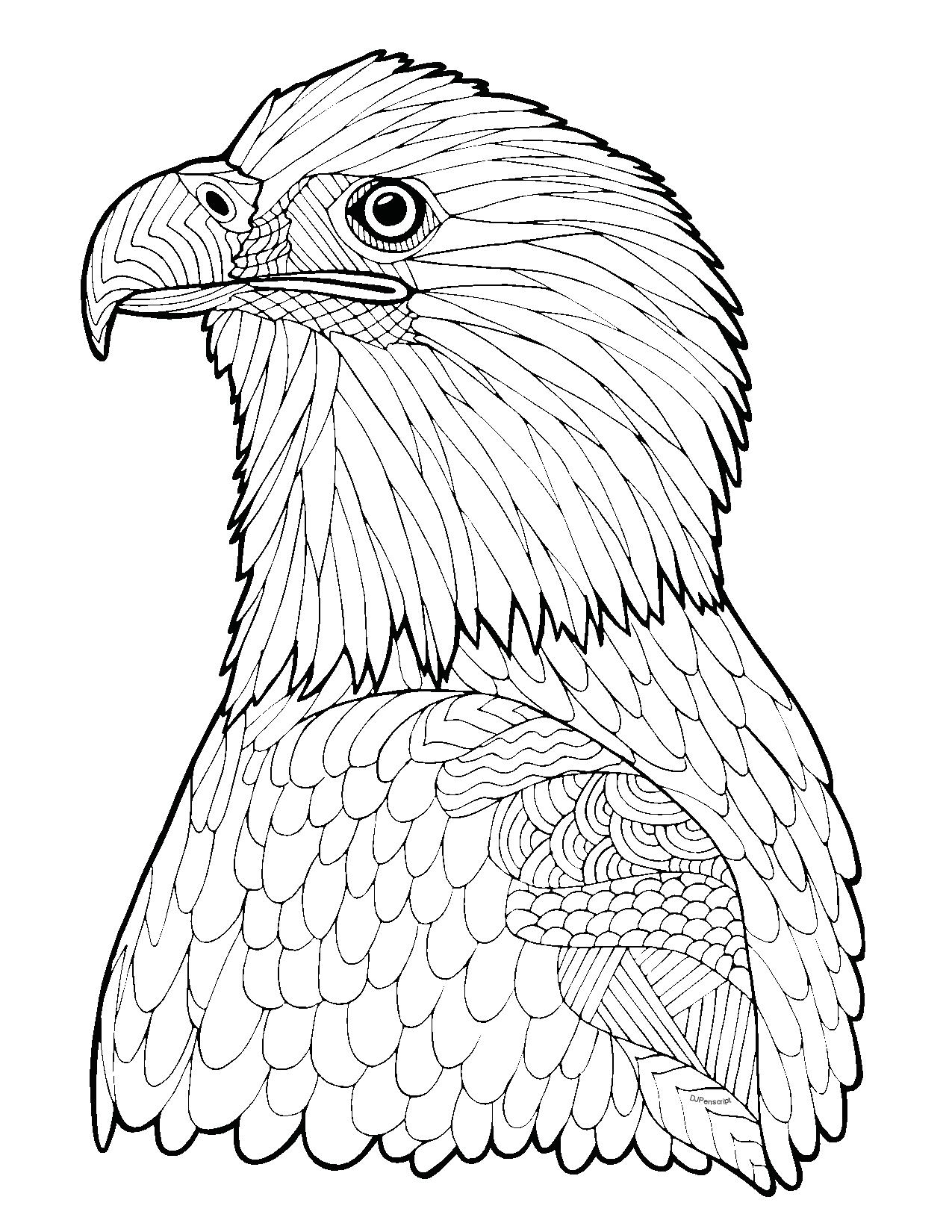Bald Eagle Zentangle Page Adult Hard Advanced Coloring Page