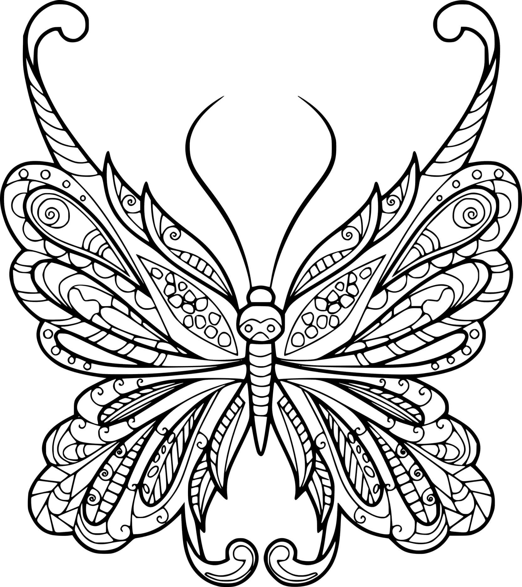 Beautiful Butterfly Zentangle