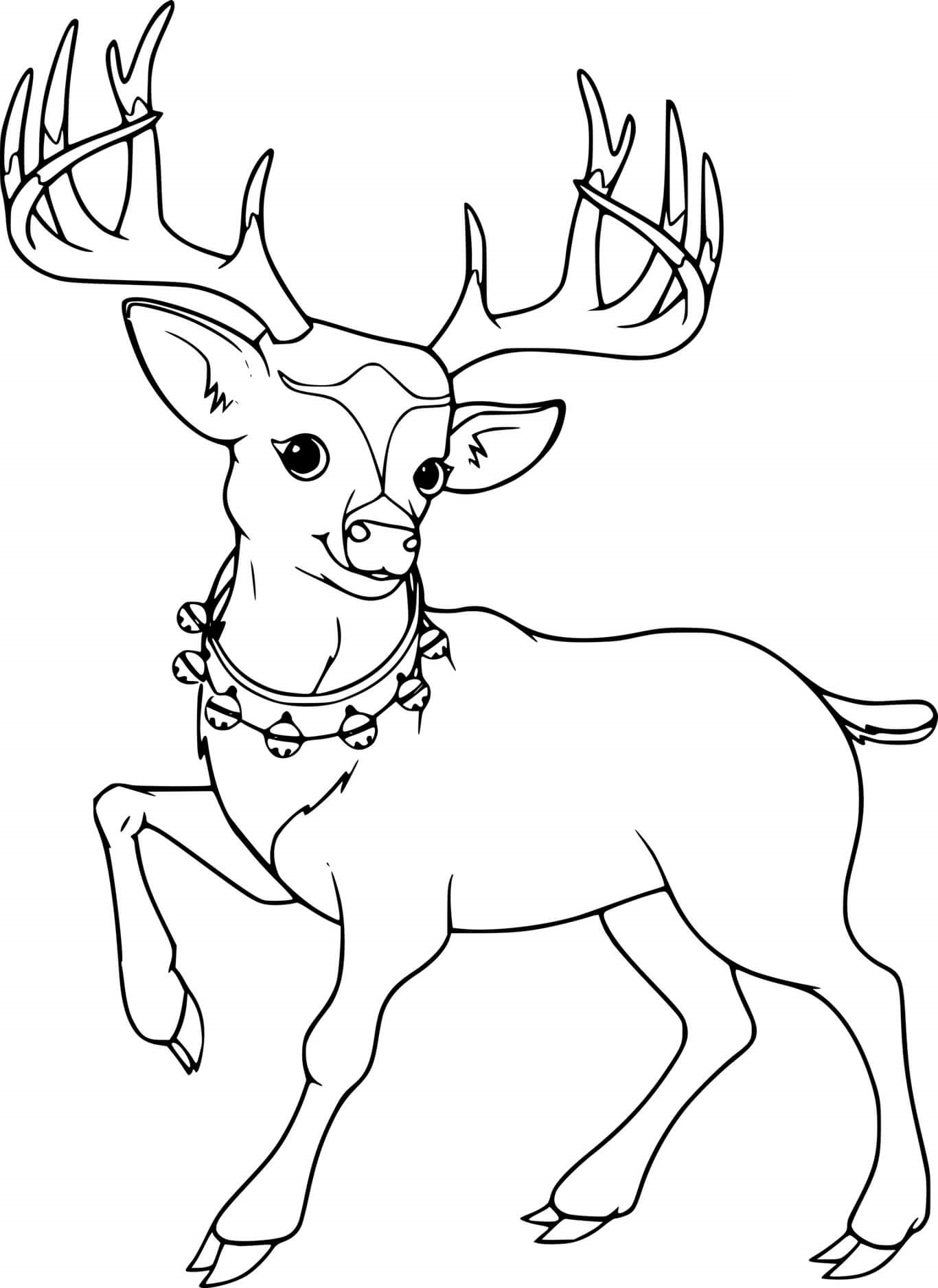 Beautiful Deer With Bells Coloring Page