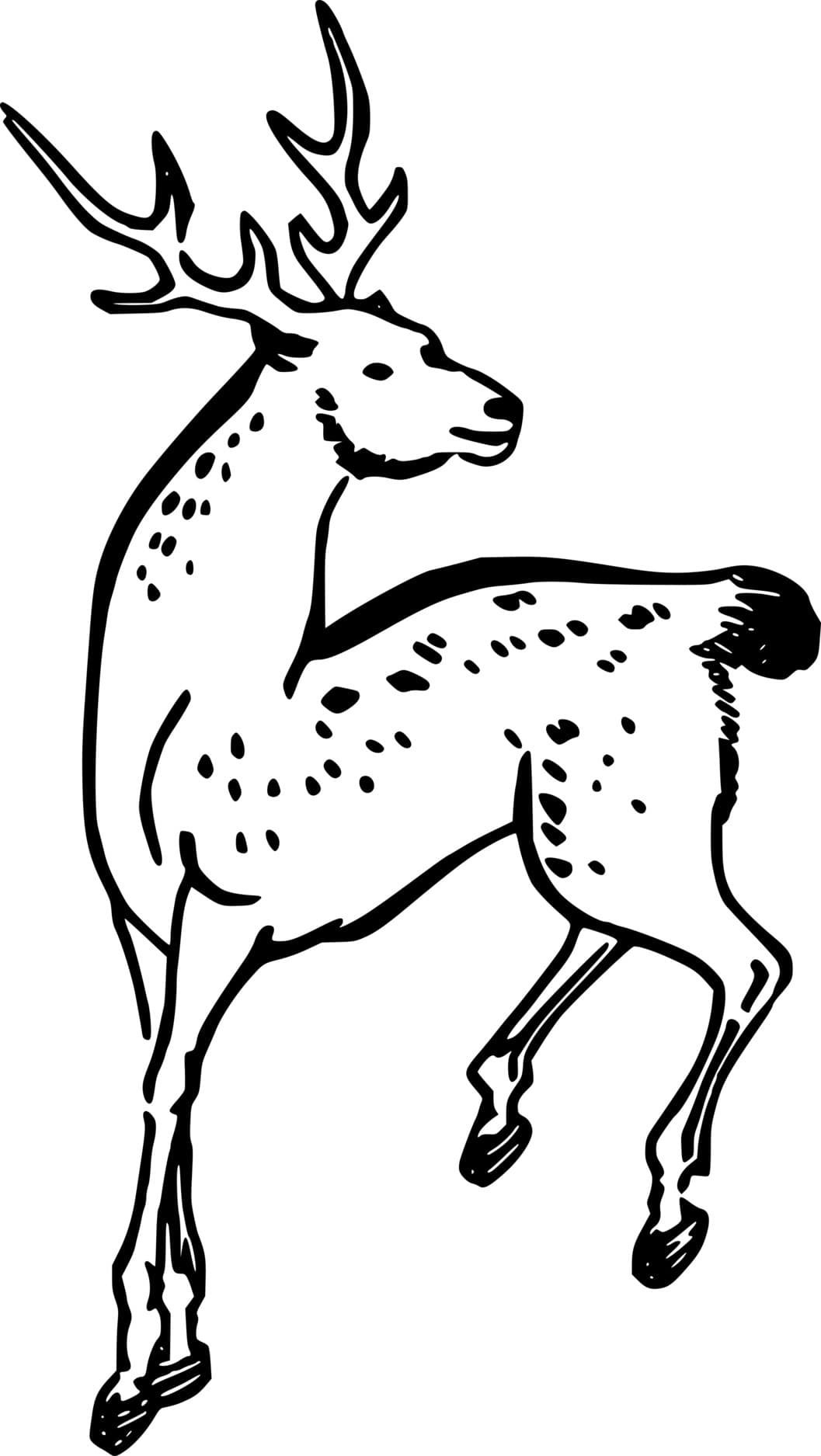 Beautiful Spotted Deer Coloring Page