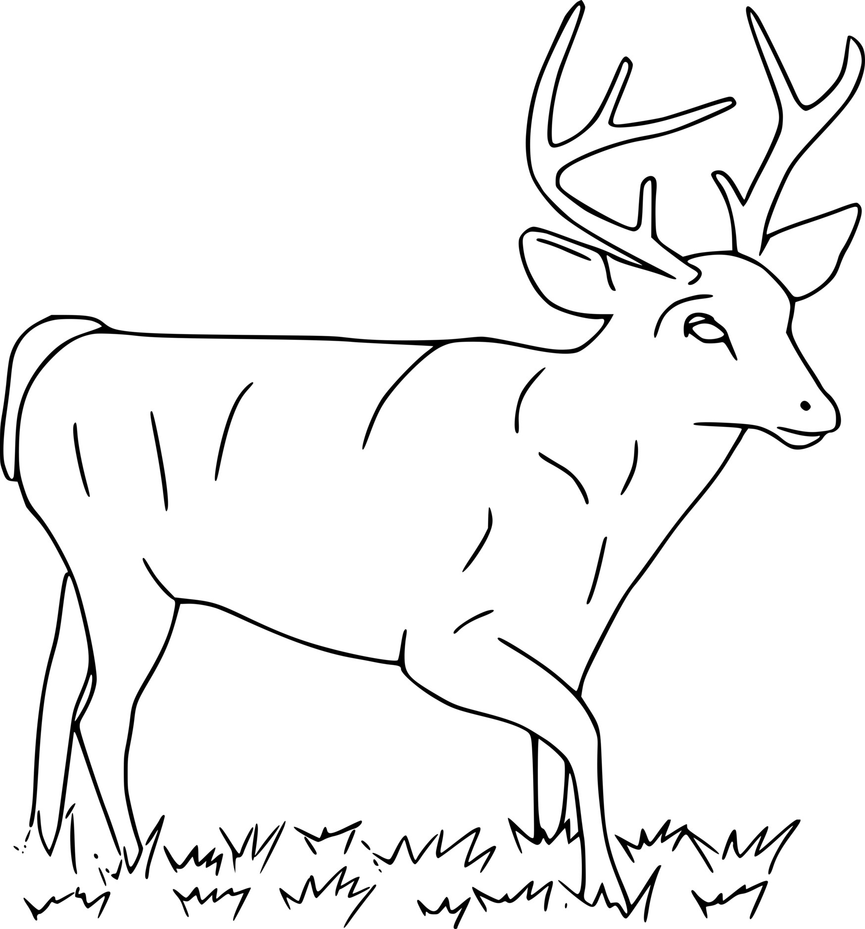 Big Deer On The Grass Coloring Page