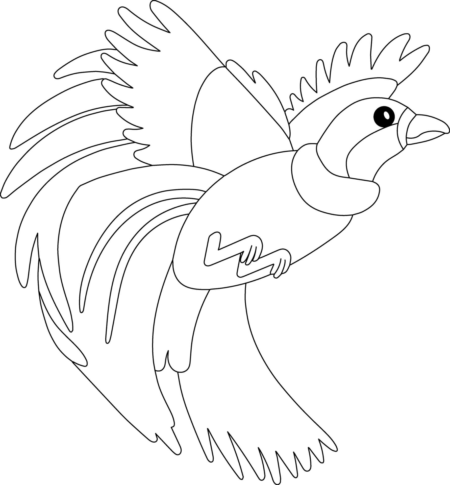Bird Of Paradise Coloring Page