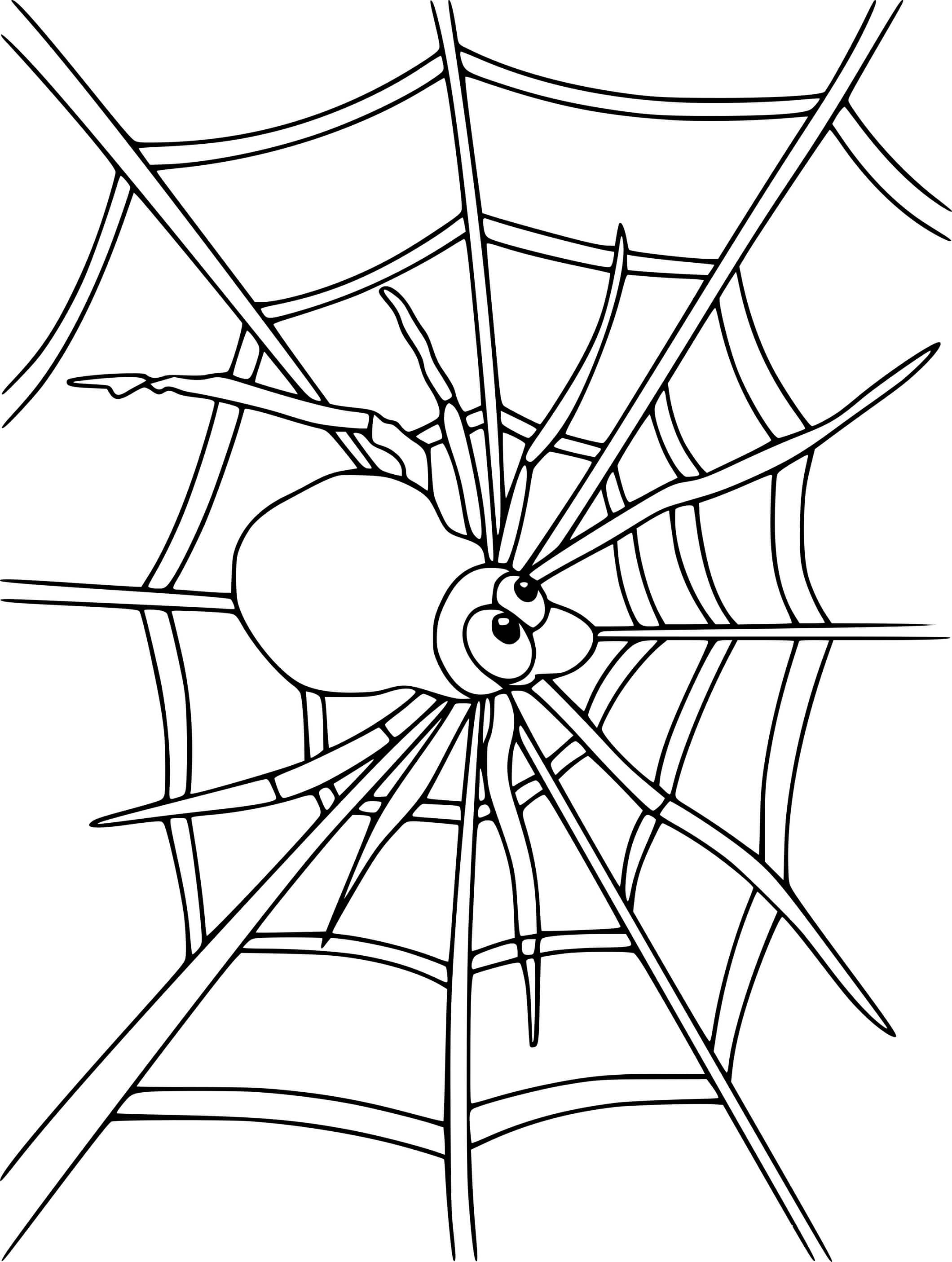 Cartoon Spider On The Web