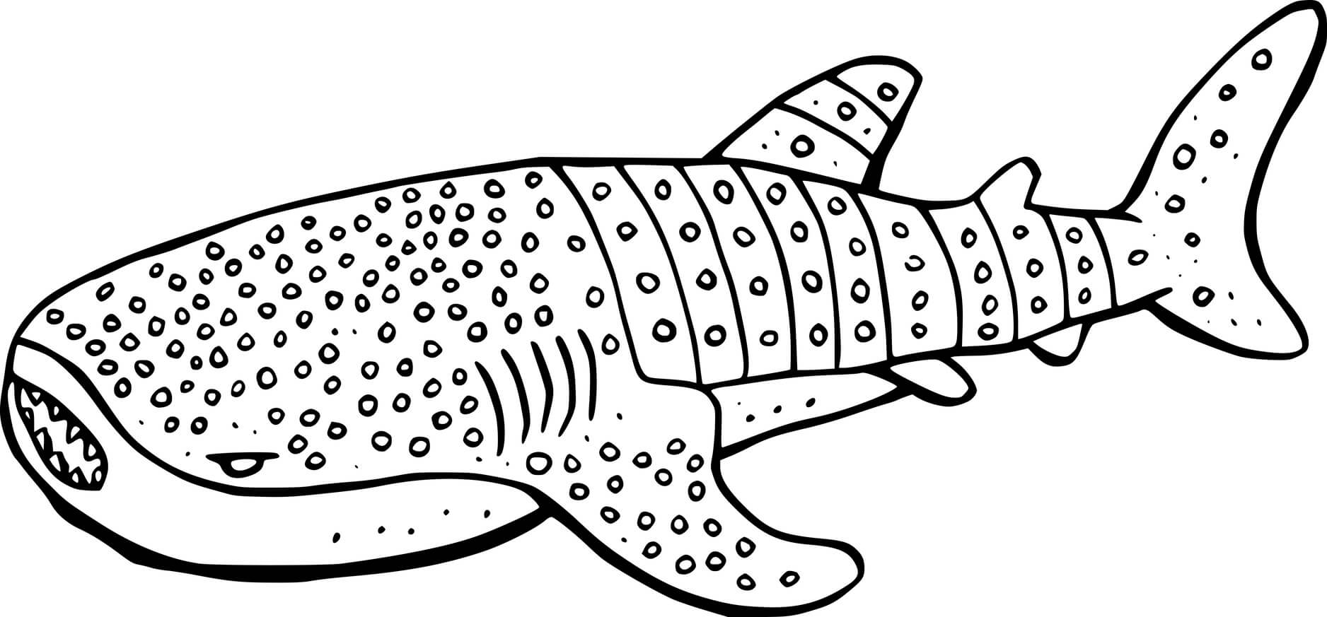 Cartoon Whale Shark Coloring Page