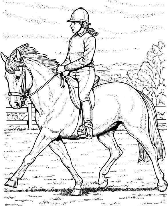 Collected Horse Coloring Page