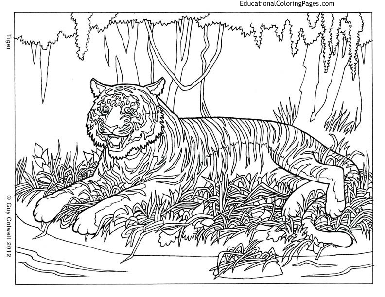 Cool Animal Hard Adult Coloring Page