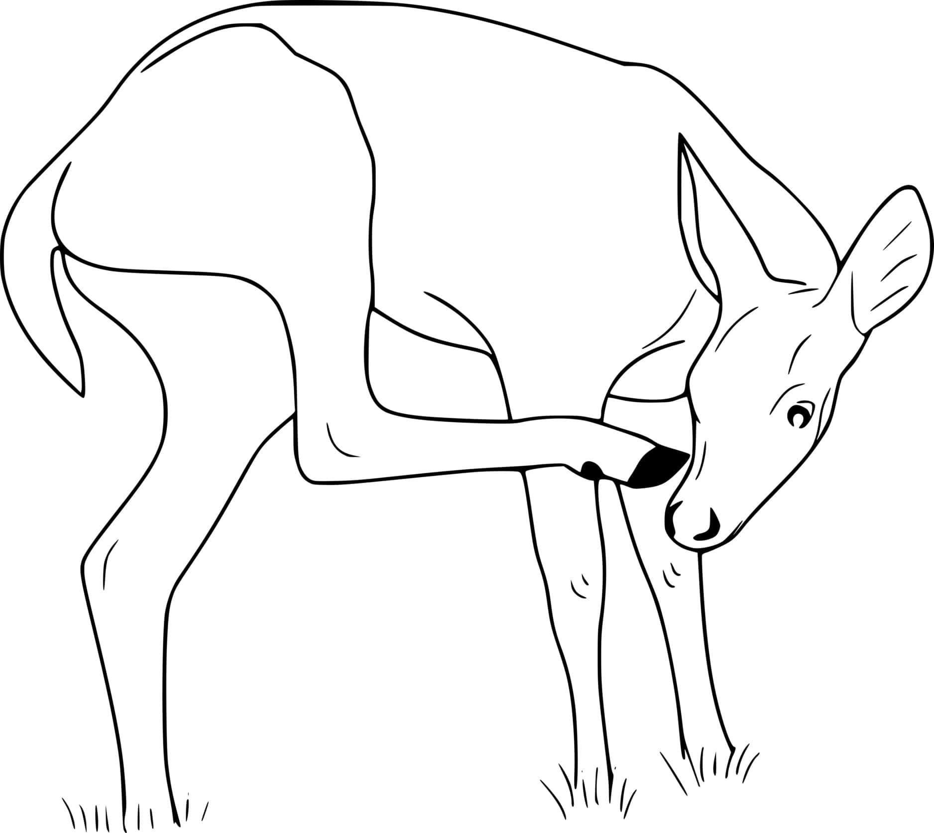 Deer Eating Grass Coloring Page