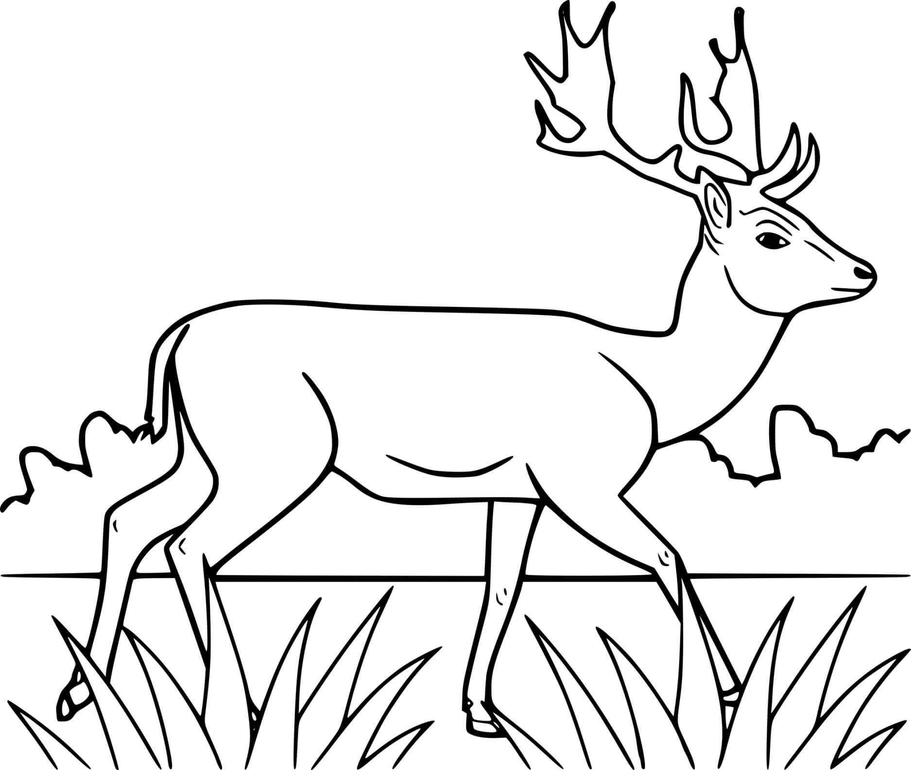Deer Walking On The Grass Coloring Page