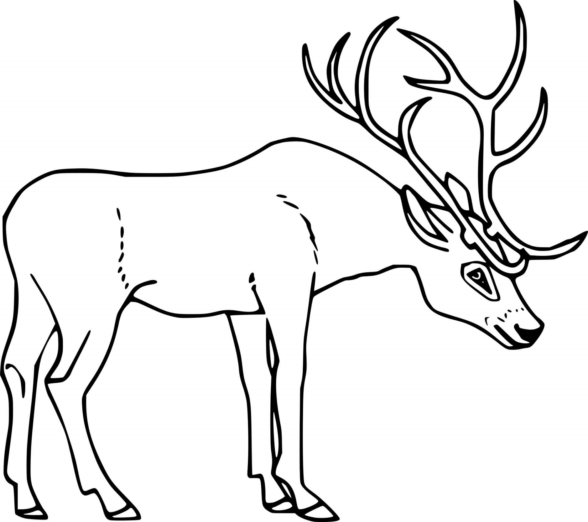 Deer With Big Antler Coloring Page