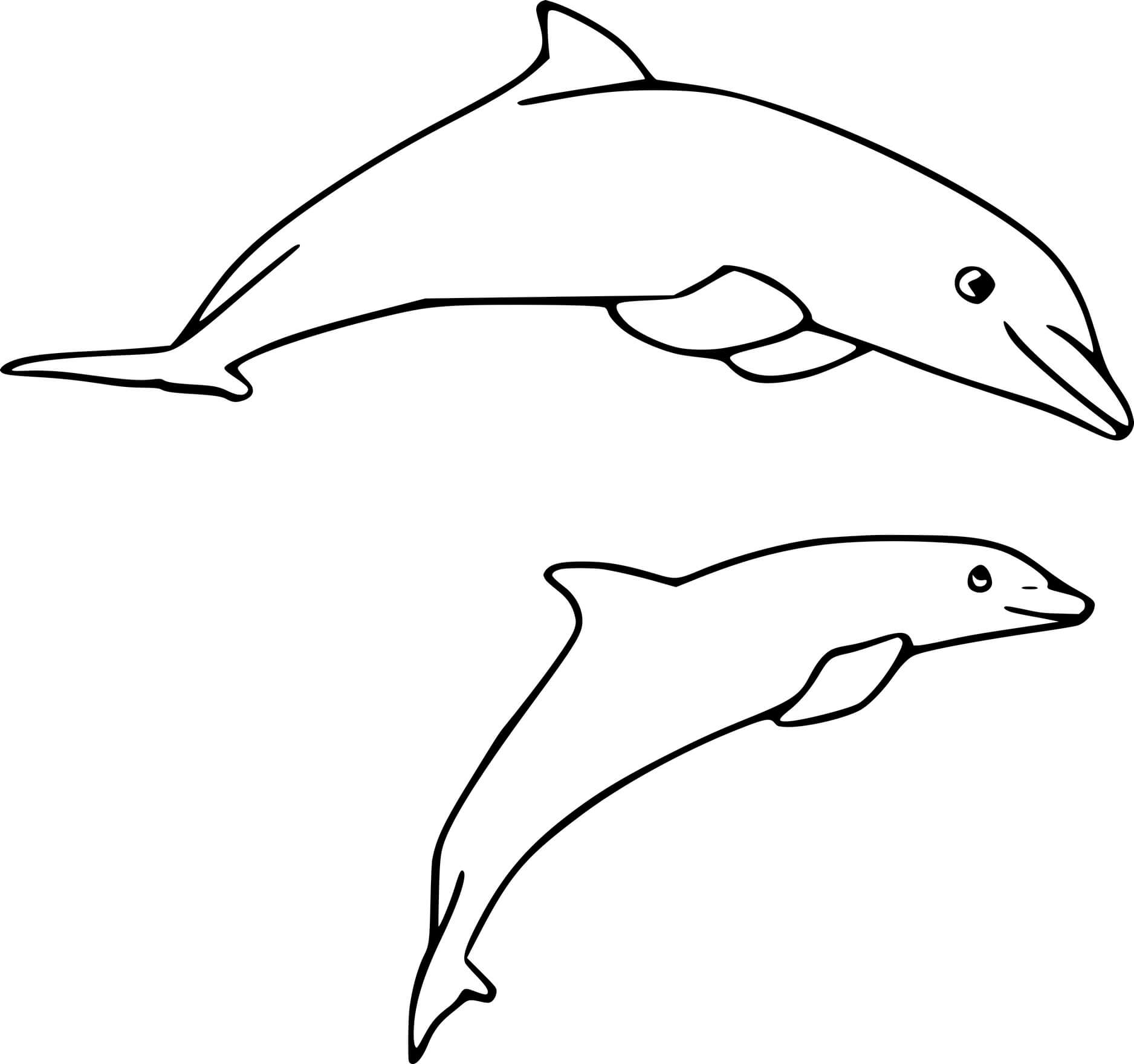 Dolphin With Young Dolphin