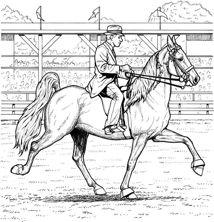 Dressage Horse Coloring Page