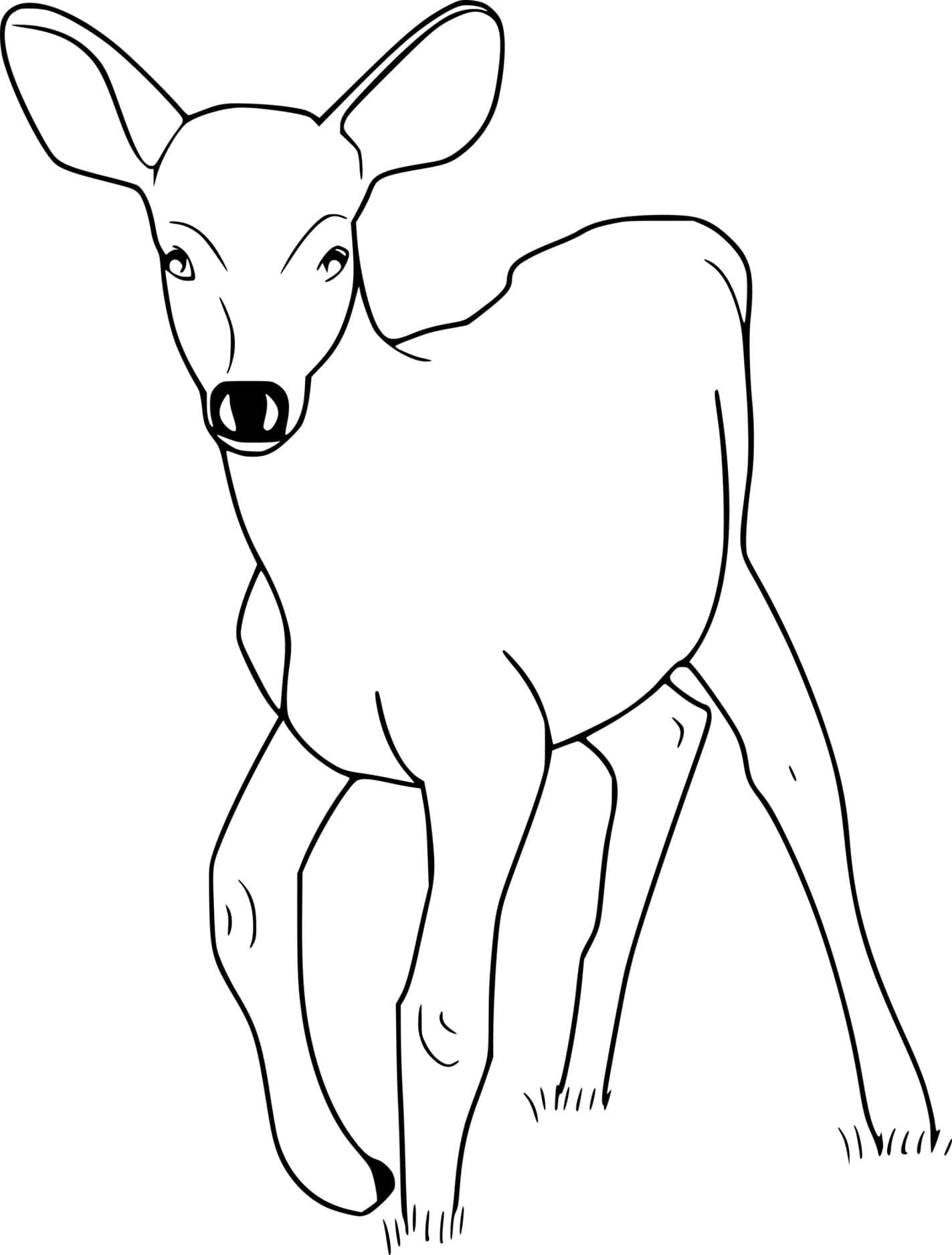 Easy Deer On The Grass Coloring Page