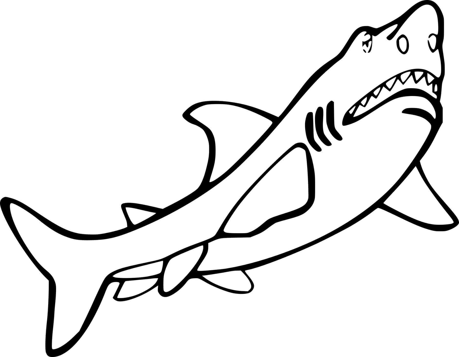 Easy Great White Shark Coloring Page