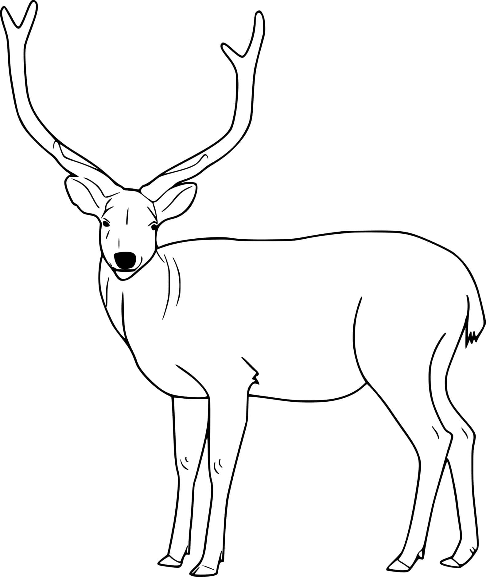 Easy Realistic Deer Coloring Page