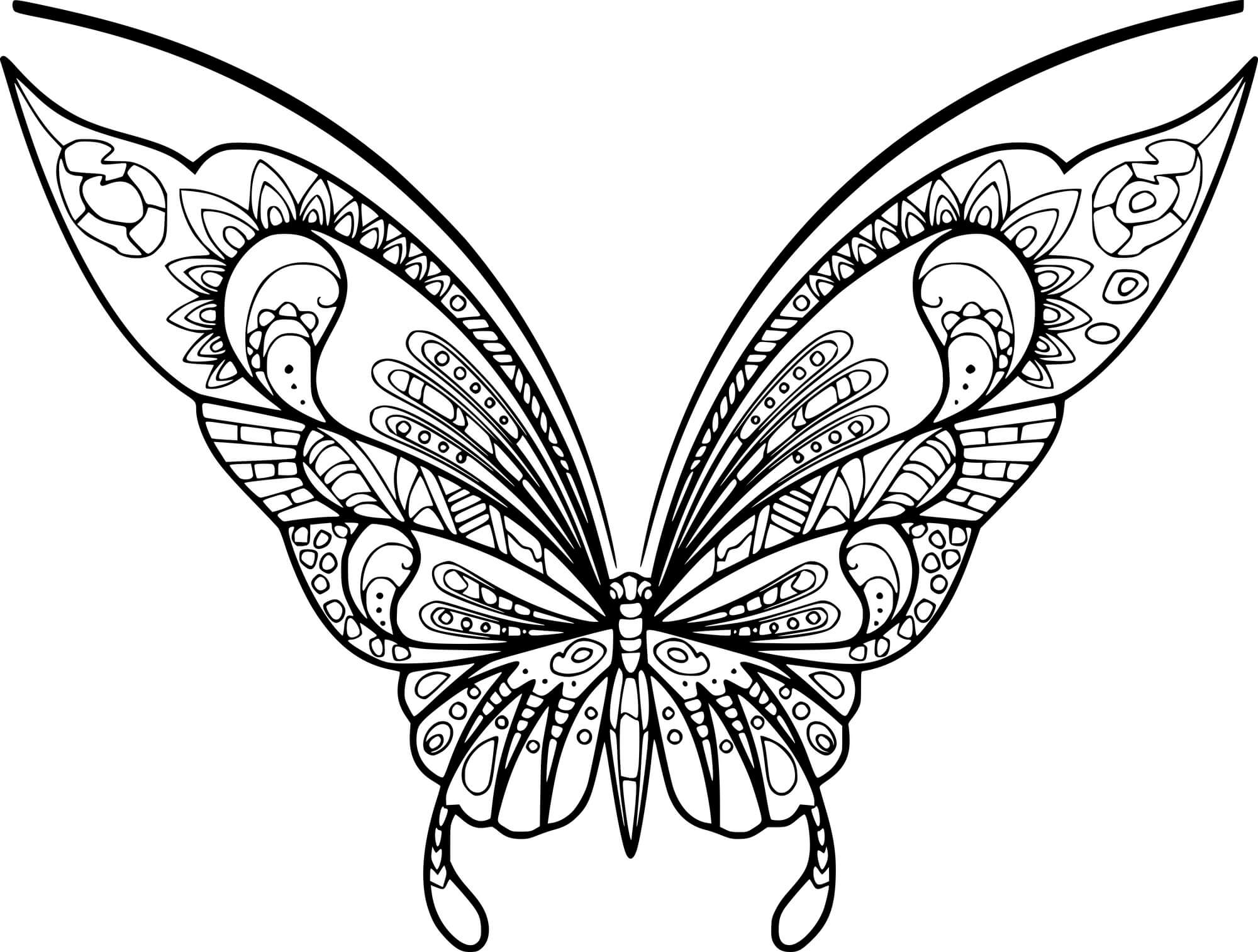 Easy Zentangle Butterfly