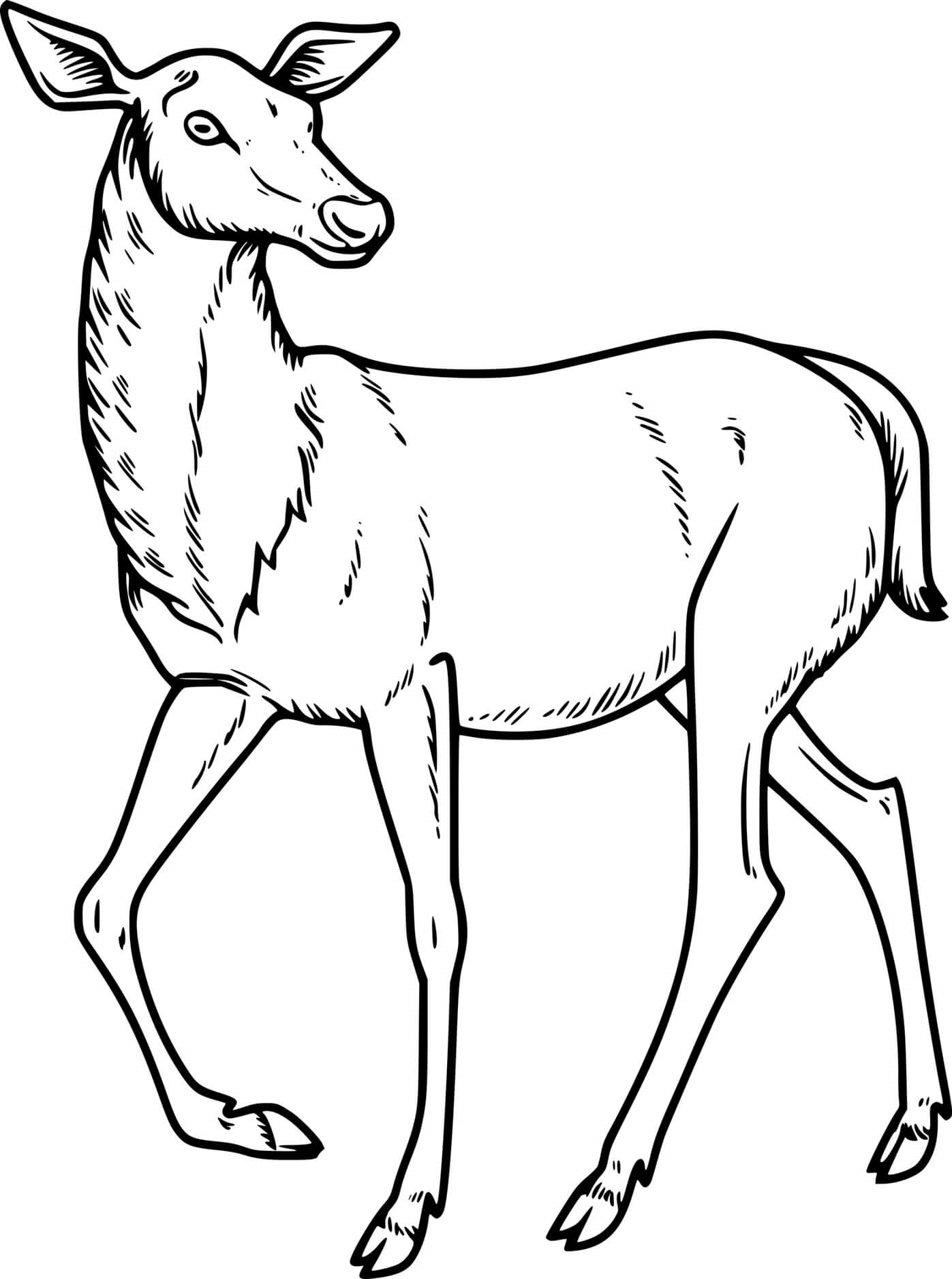 Elegant Sika Deer Coloring Page