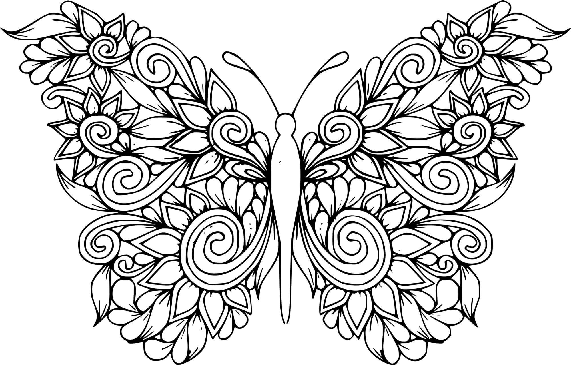 Flower Butterfly Zentangle