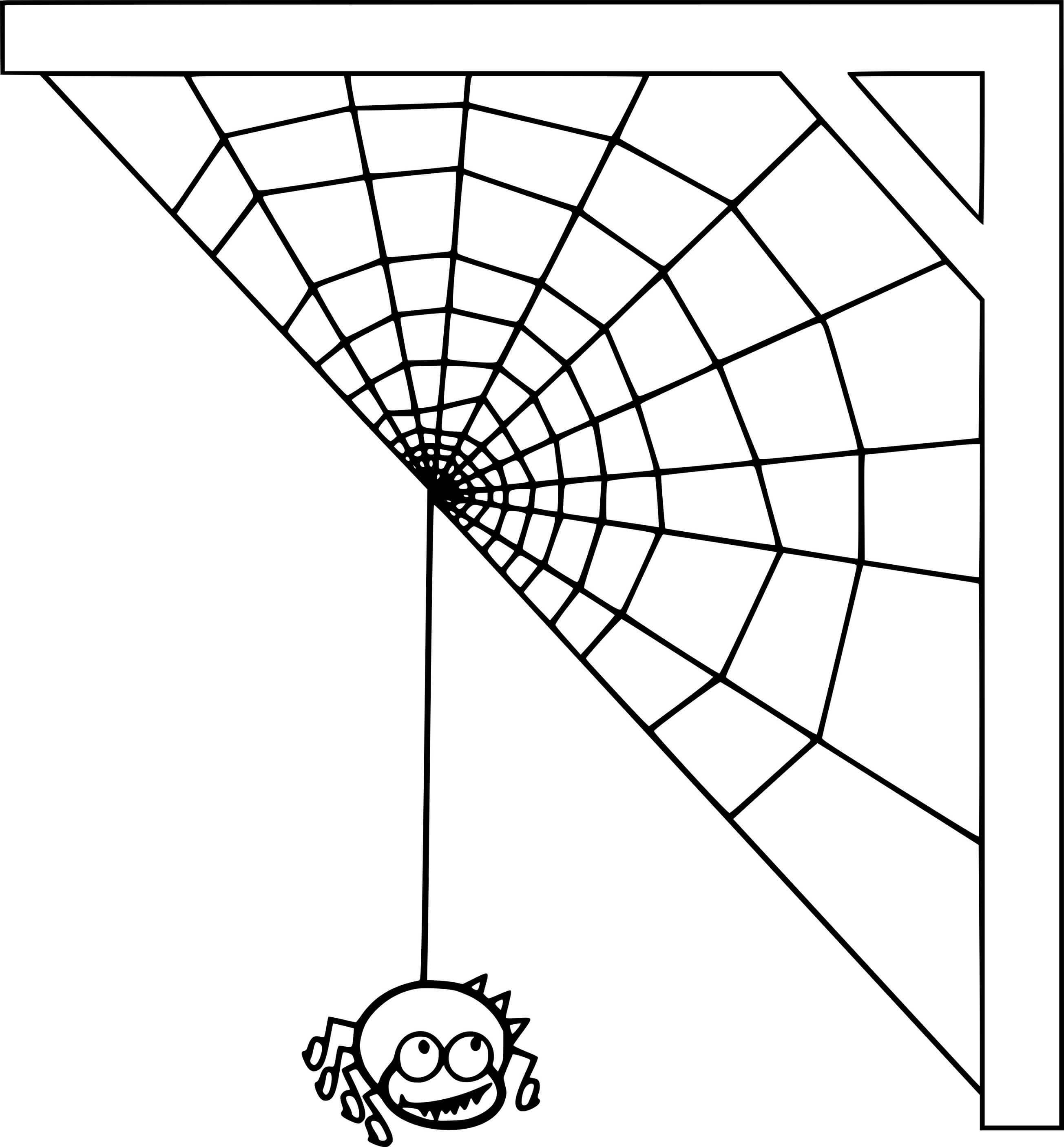 Funny Spider Spinning Web
