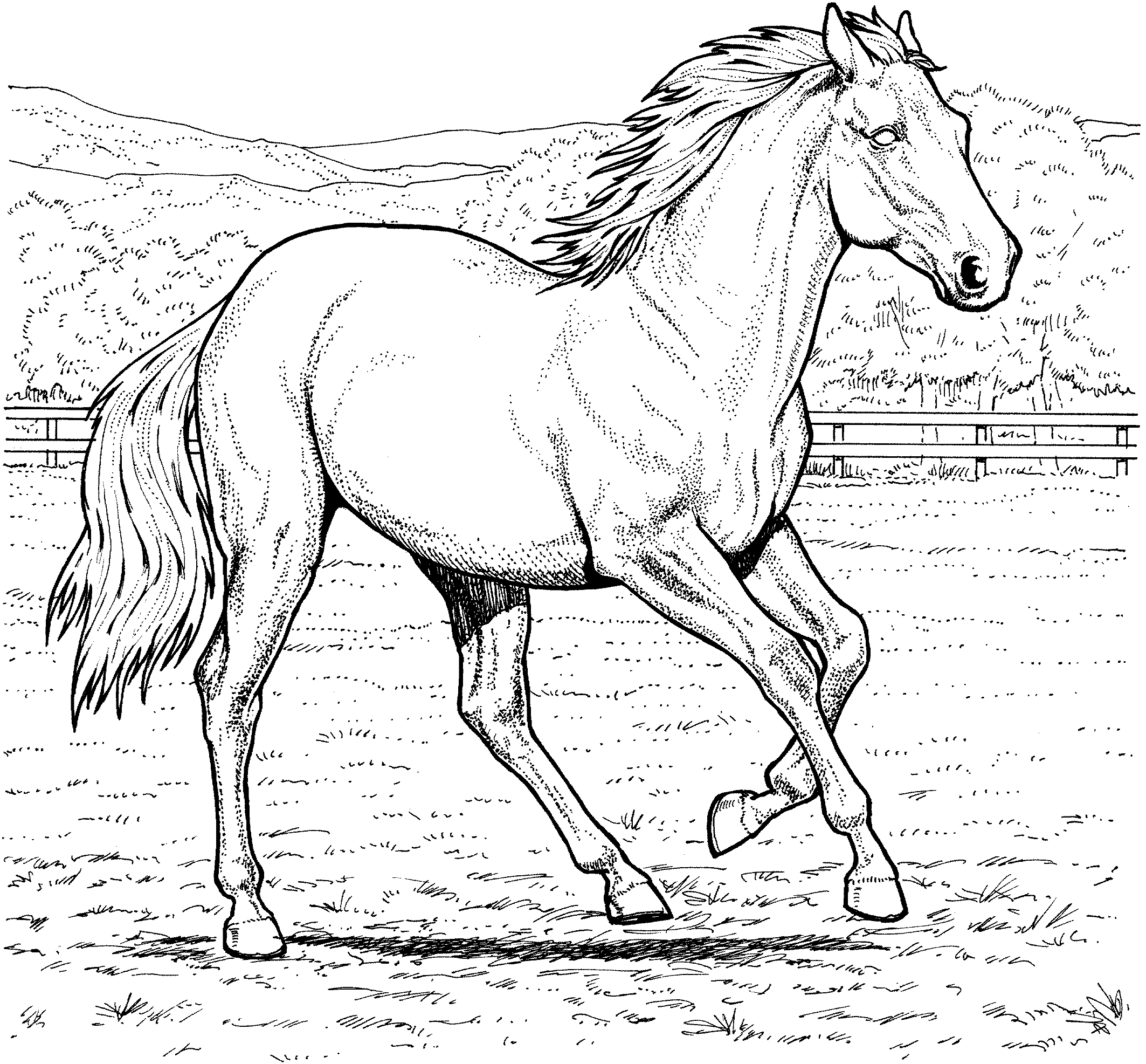 Galloping Horse Coloring Page