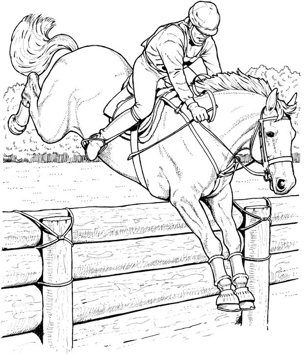 Grand Prix Horse Coloring Page