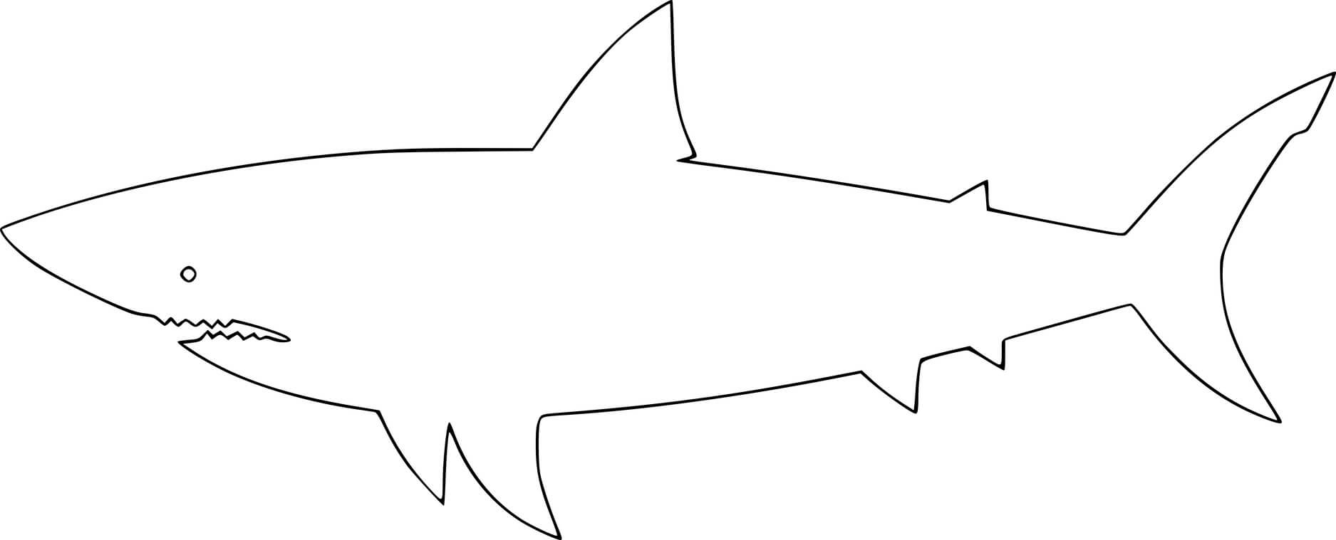 Great White Shark Outline Coloring Page