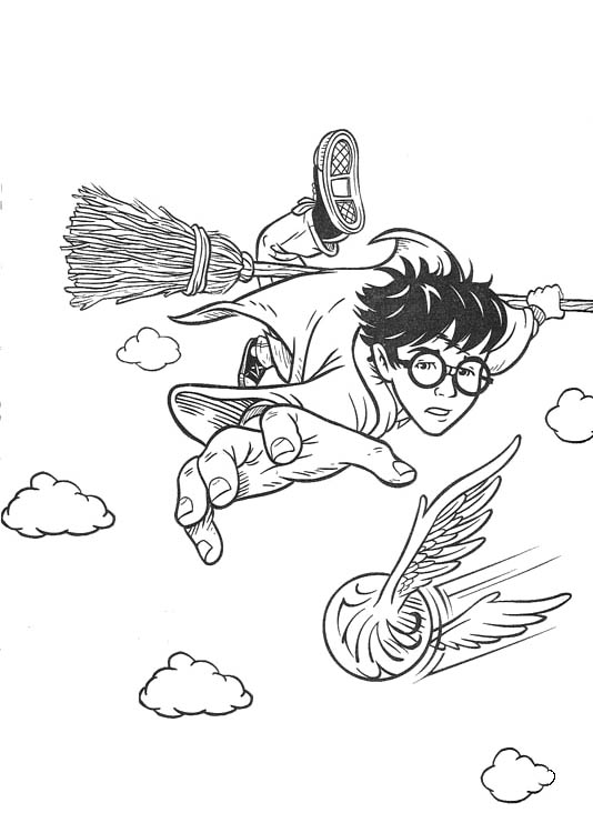 Harry Potters Quidditch