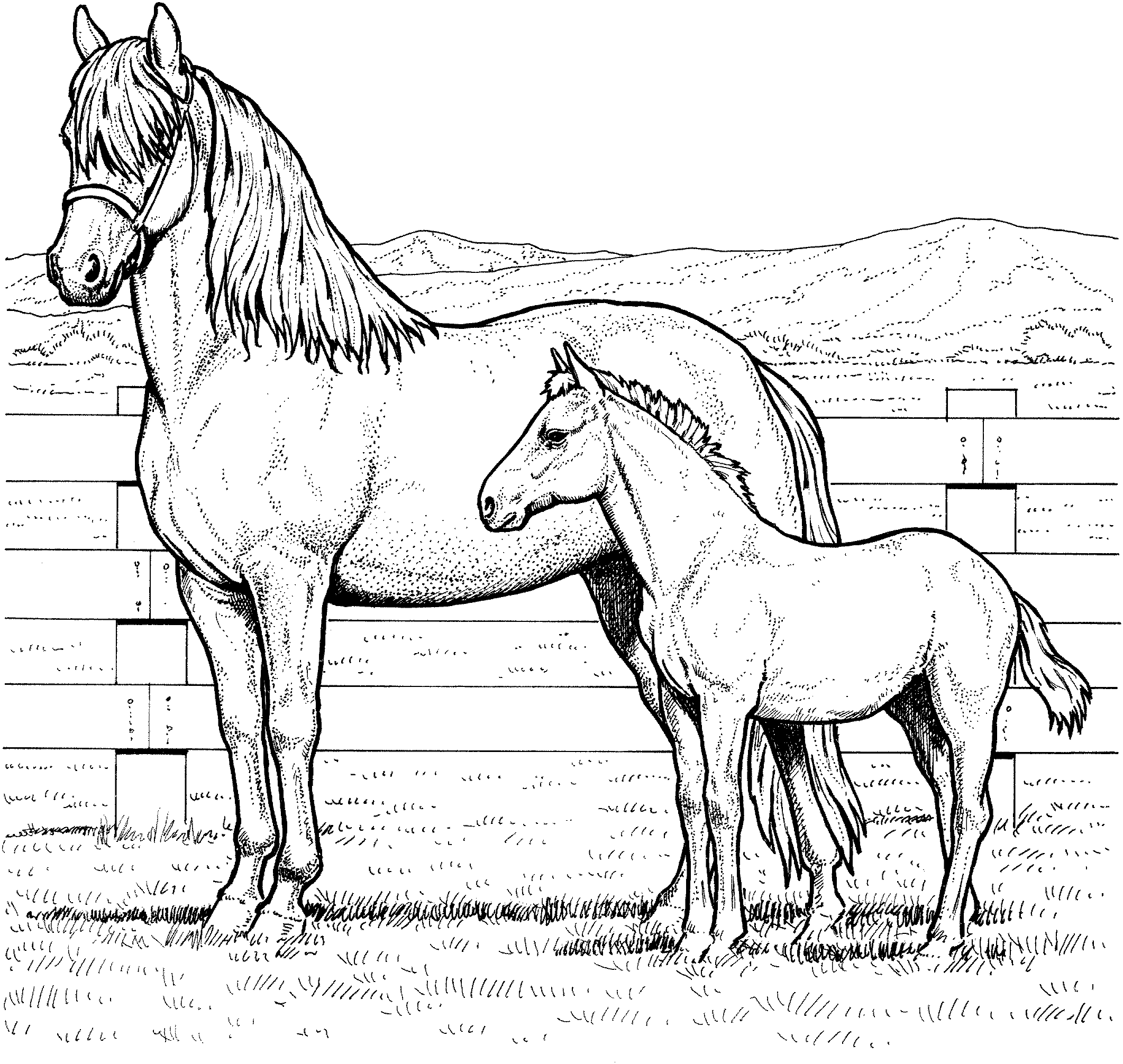 Horse Family Coloring Page