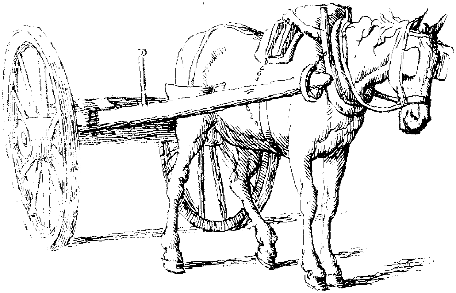 Horse And Wagon Coloring Page