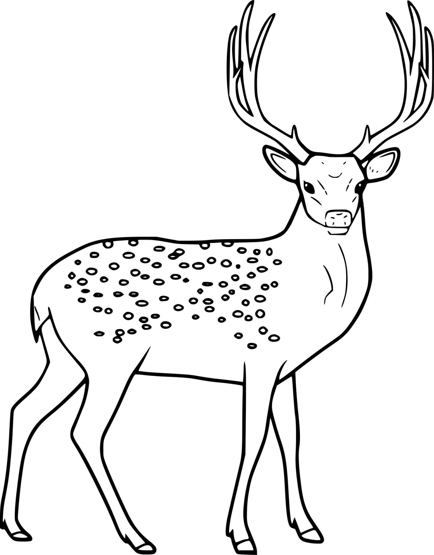 Huge Elegant Deer Coloring Page