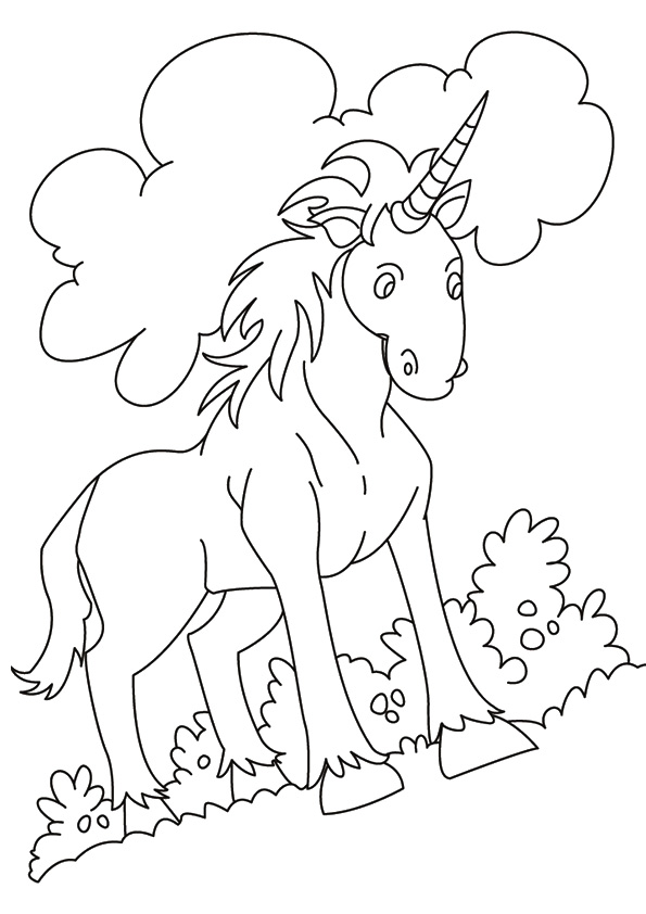 Indian Unicorn Equus Assinoceros Unicorn Coloring Page
