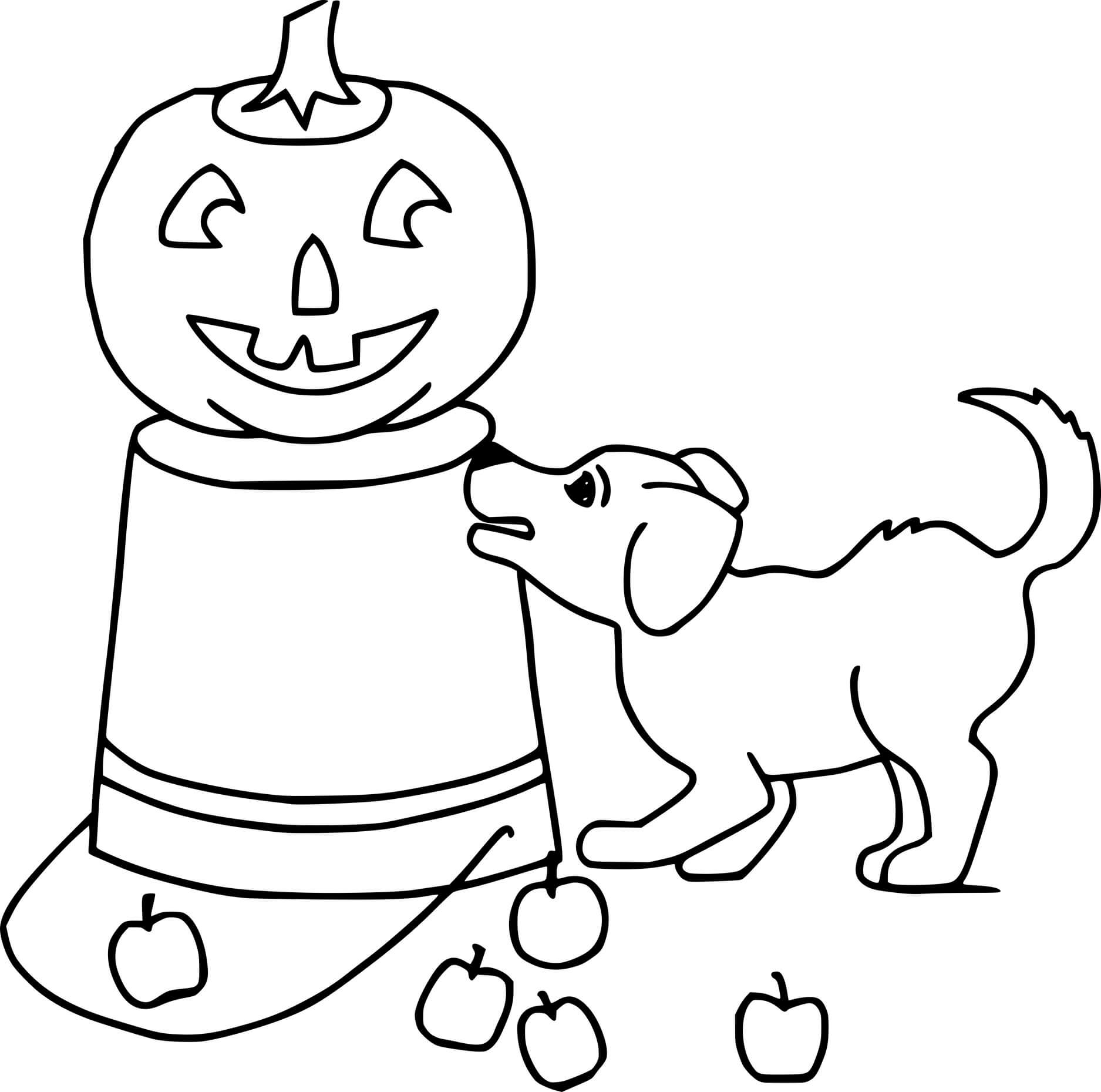 Jack O Lantern On The Bucket With A Puppy