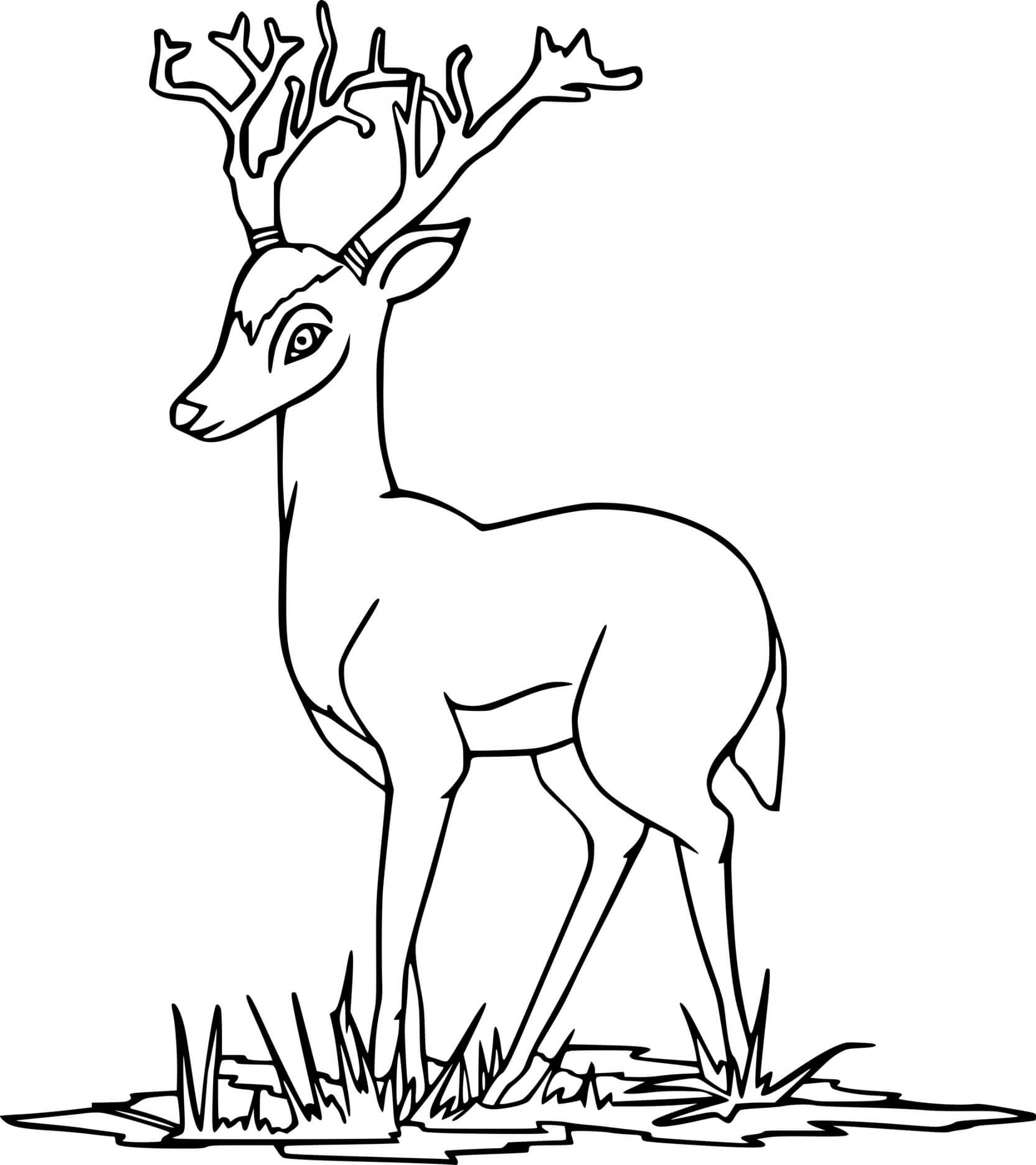 Little Deer On The Grass Coloring Page