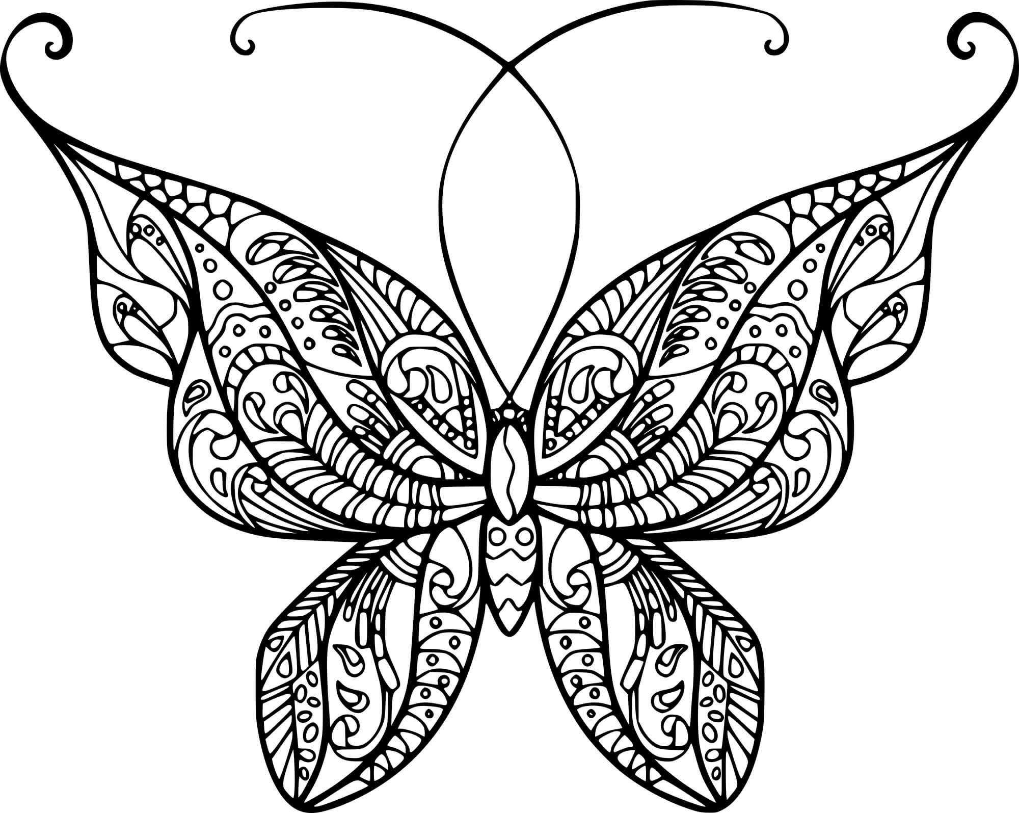 Long Antenna Zentangle Butterfly