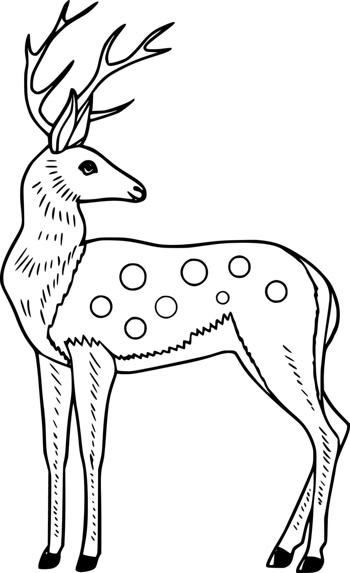 Male Sika Deer Coloring Page