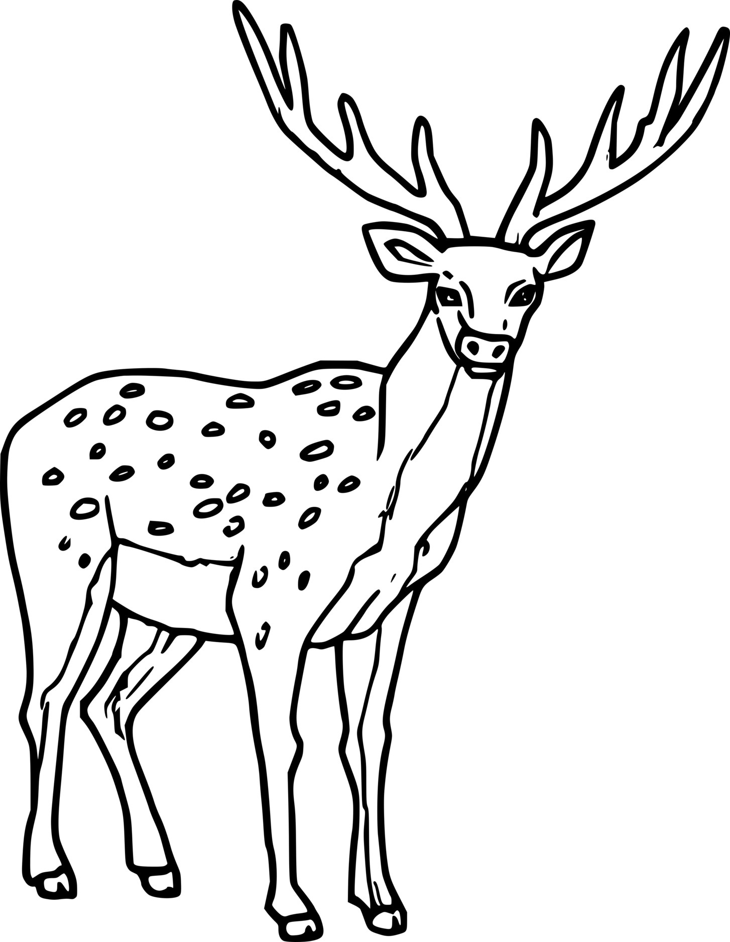 Male Spotted Deer Coloring Page