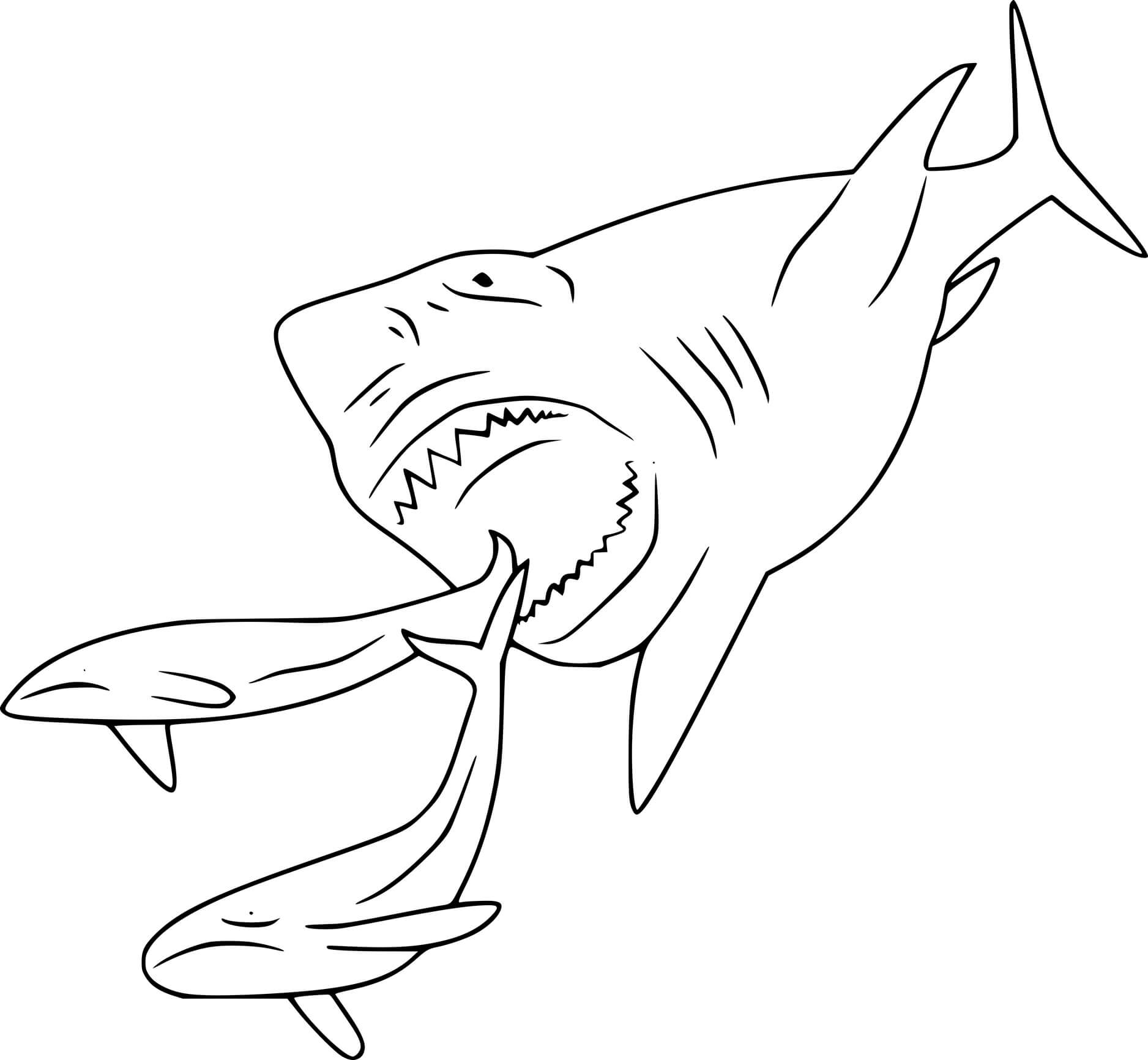Megalodon Hunting Whales Shark Coloring Page