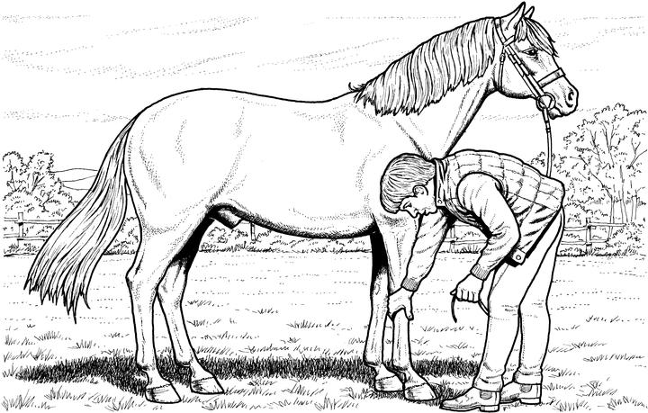 Picking Hooves Coloring Page