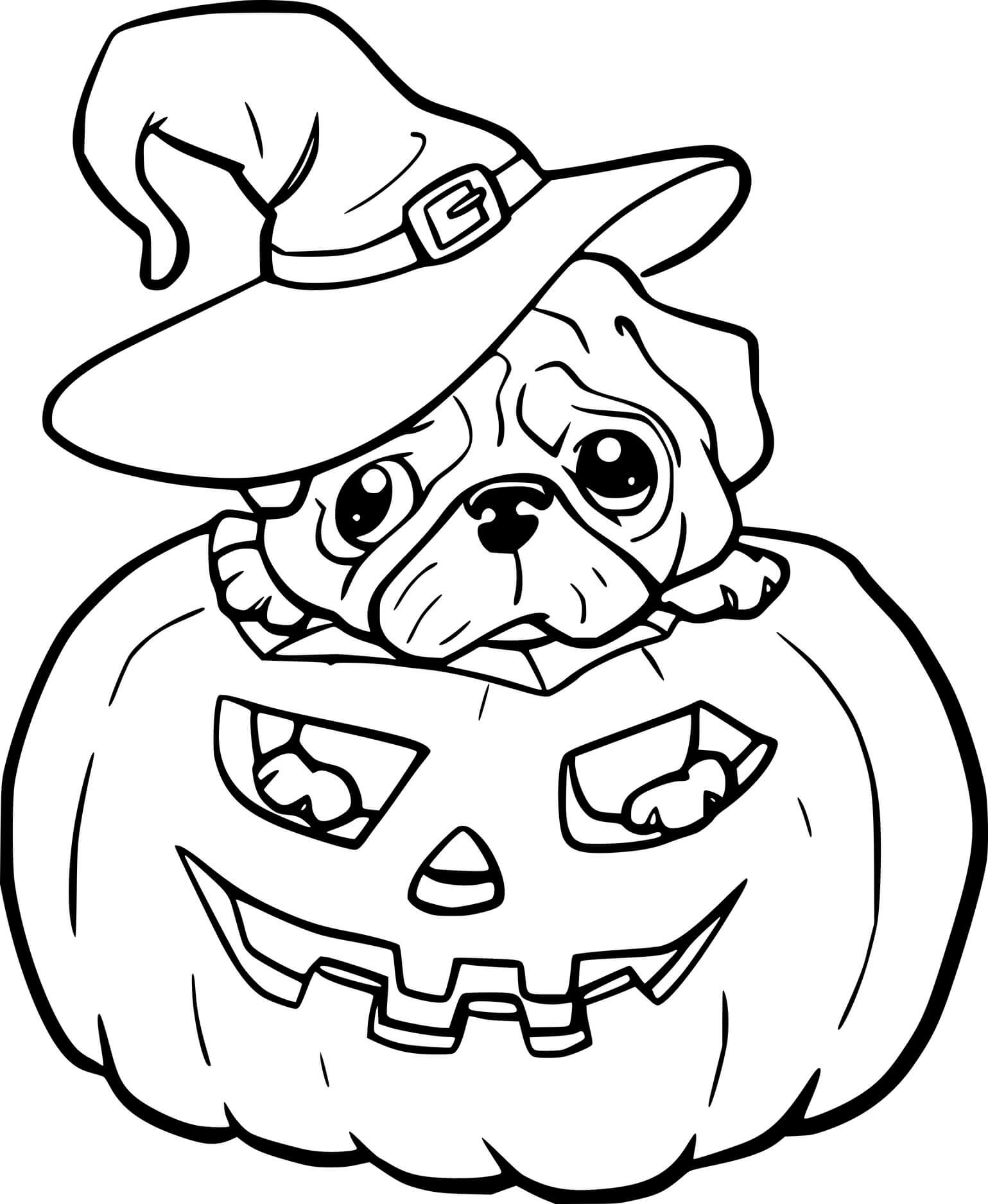 Puppy Witch In The Jack O Lantern