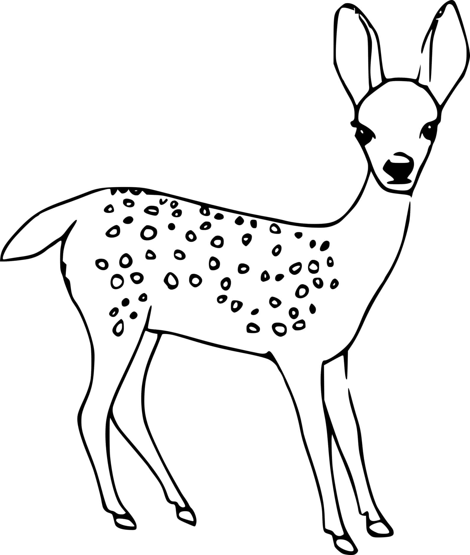 Realistic Baby Deer Coloring Page