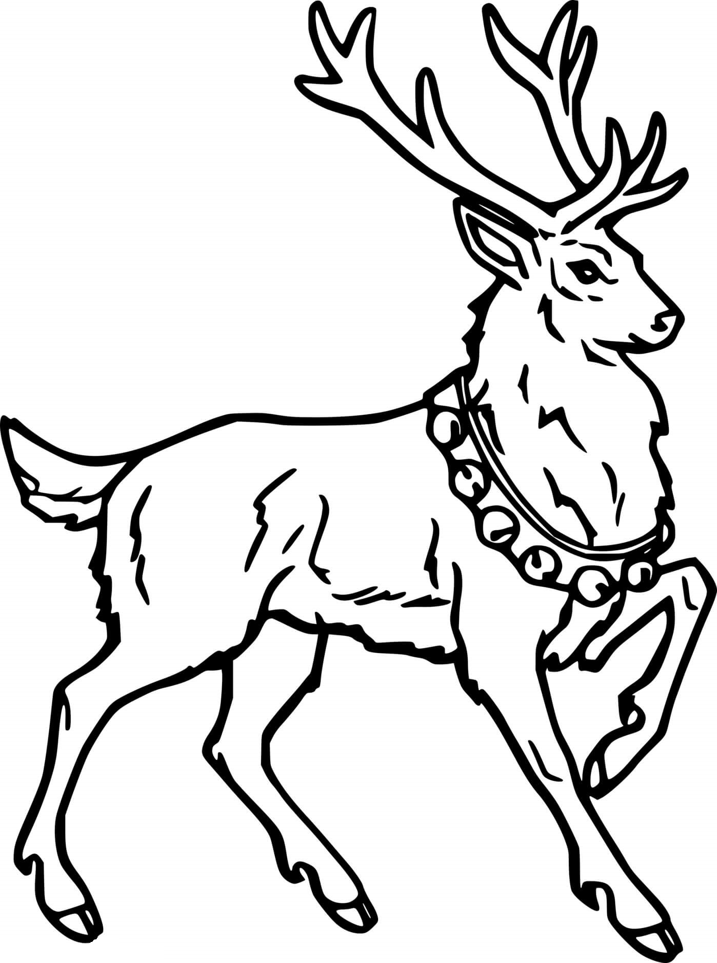 Realistic Deer With Bells Coloring Page
