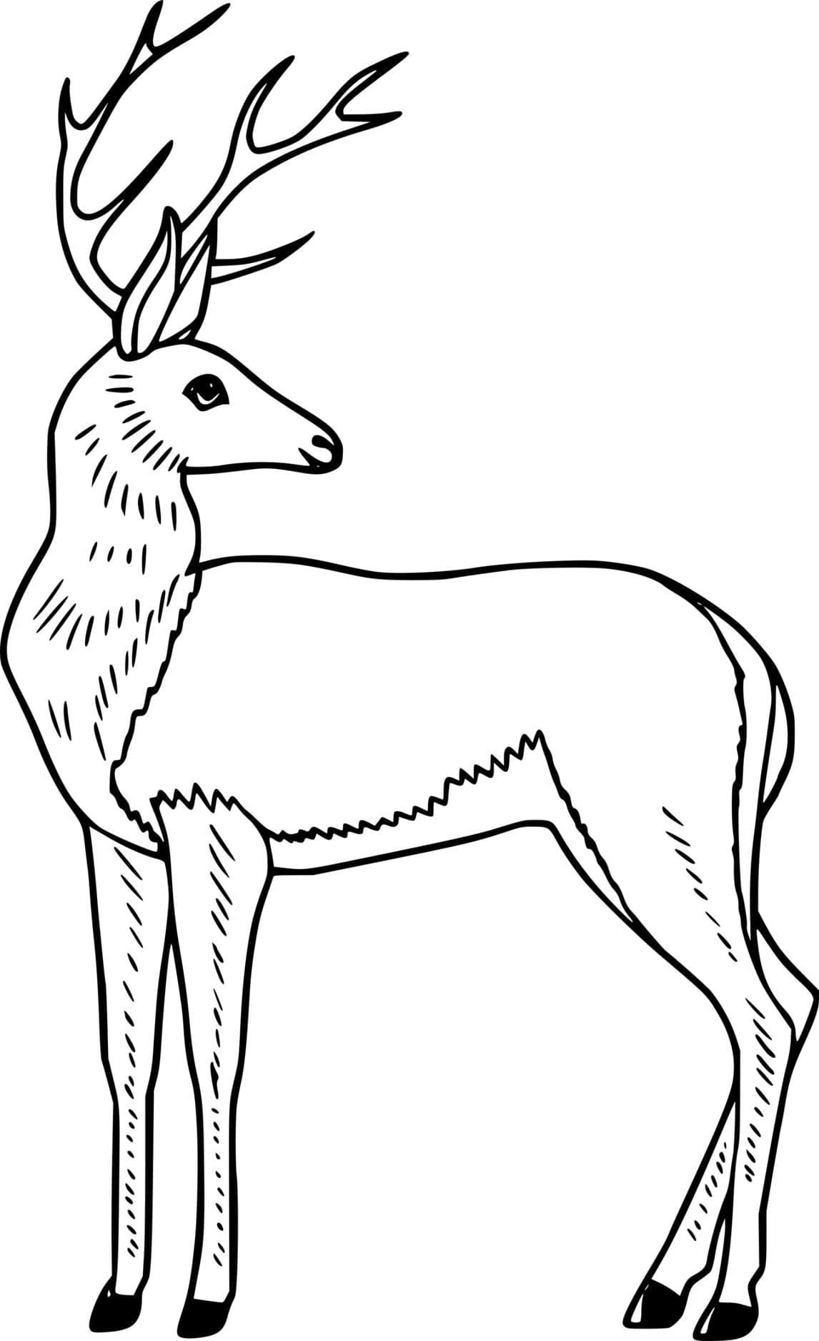 Realistic Elegant Deer