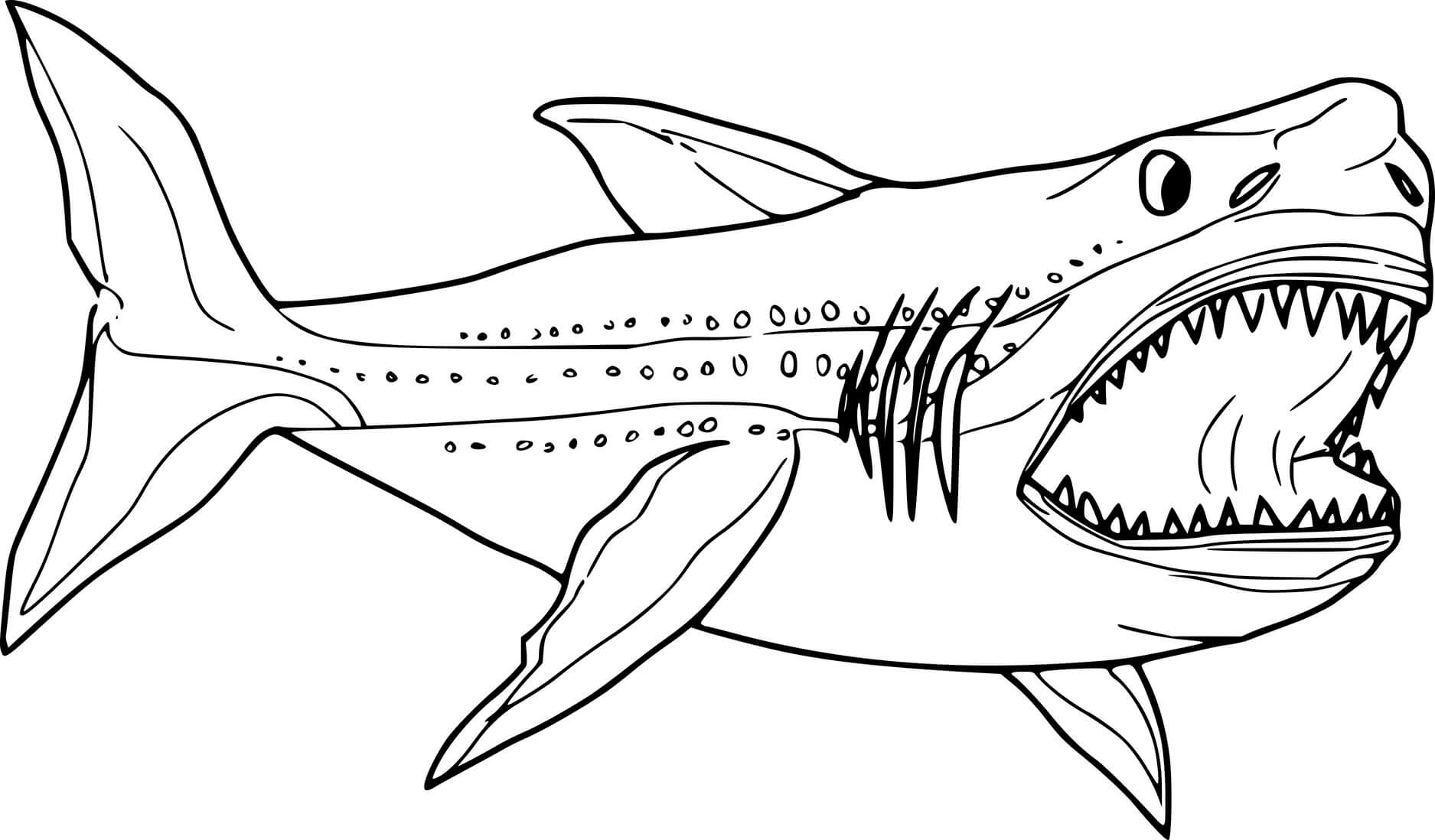 Realistic Megalodon Shark Coloring Page
